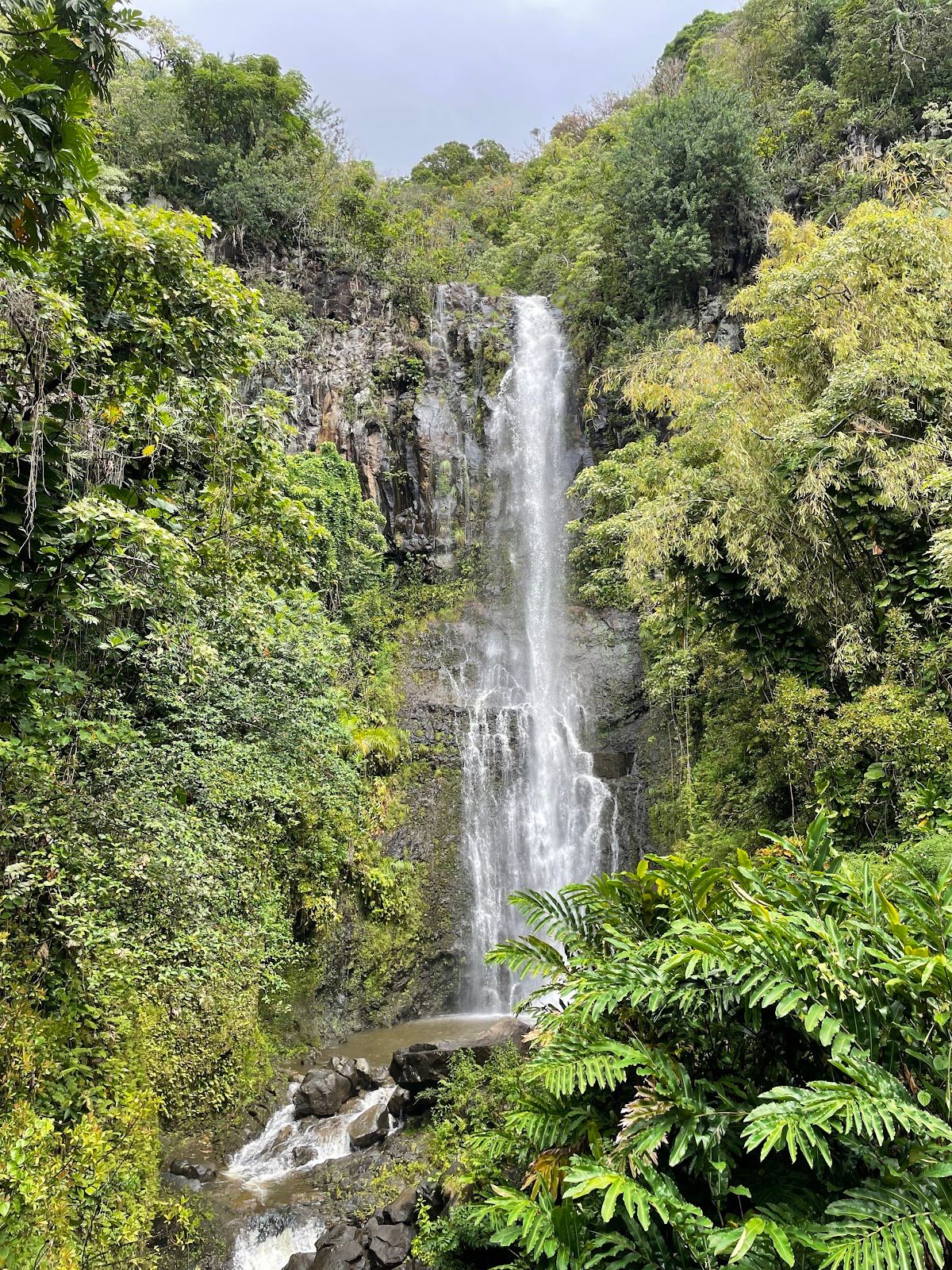 Photo 5 of Pipiwai Trail in Kīpahulu & Kaupō, Maui