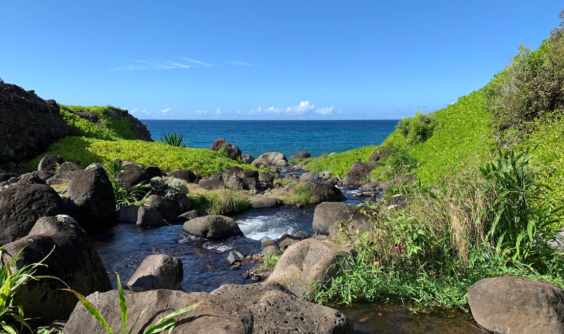 Kalalau Trail in Haena, Kaua‘i photo 10