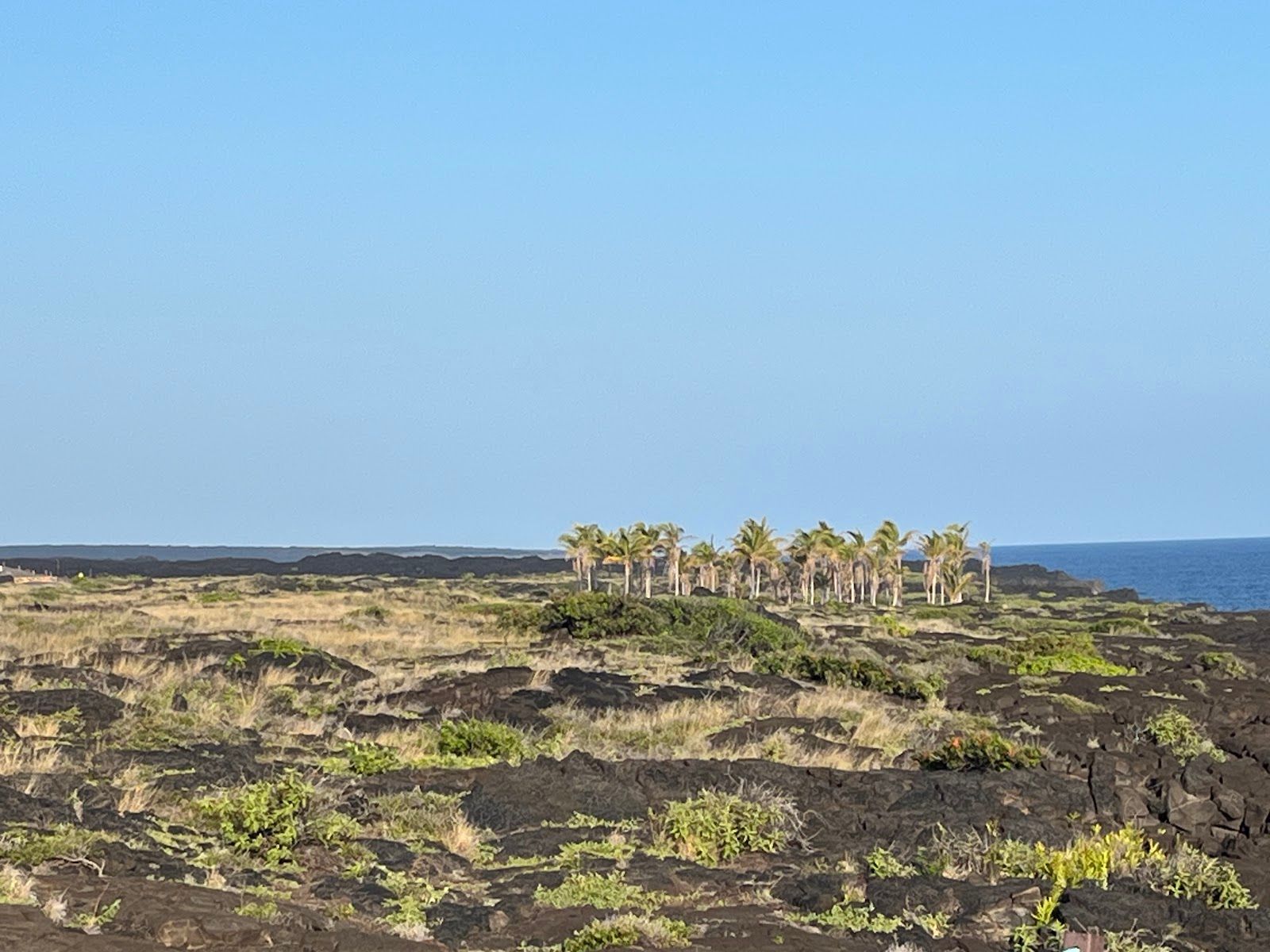 Photo 5 of Chain of Craters Road in Volcano, Big Island