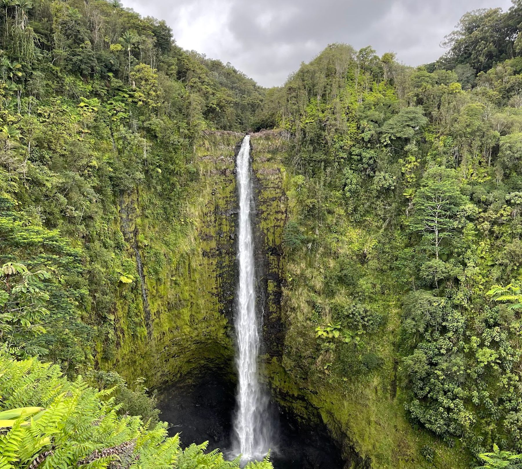 Photo 1 of ‘Akaka Falls in Greater Hilo, Big Island