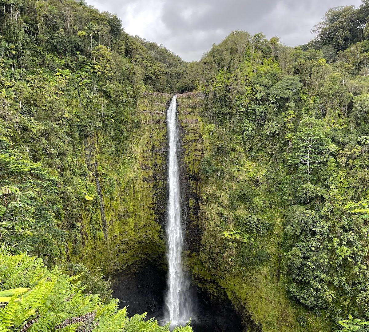 Photo 1 of ‘Akaka Falls in Greater Hilo, Big Island