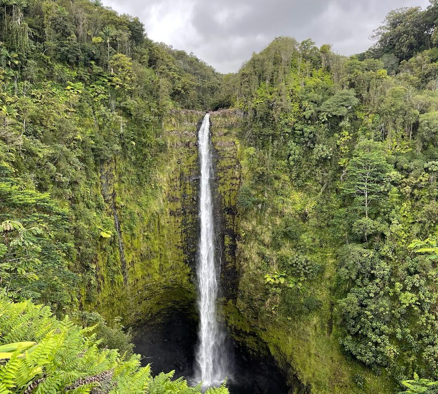 Photo 1 of ‘Akaka Falls in Greater Hilo, Big Island