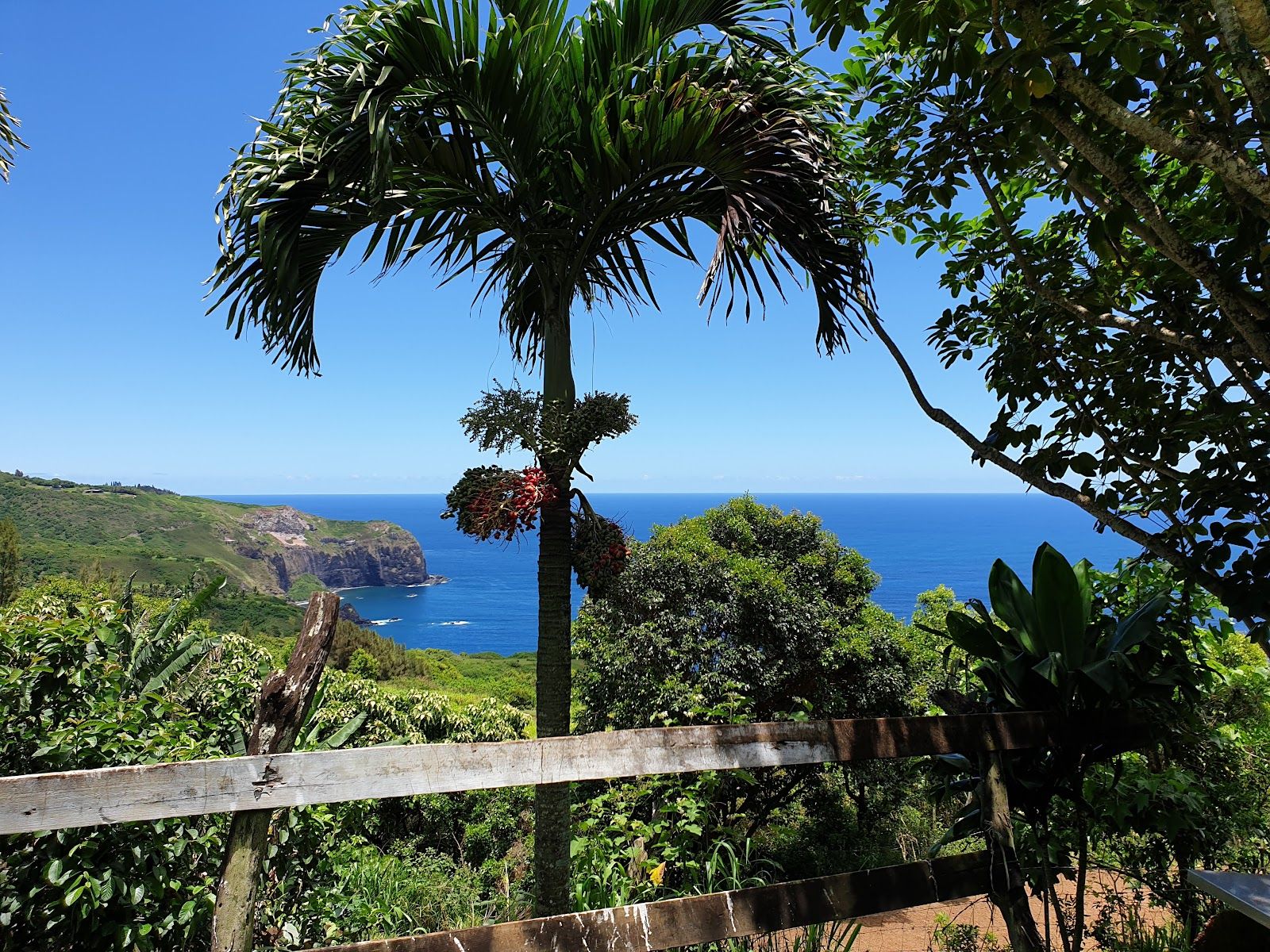 Photo 7 of Circle M Ranch, formerly Mendes Ranch in Wailuku, Maui