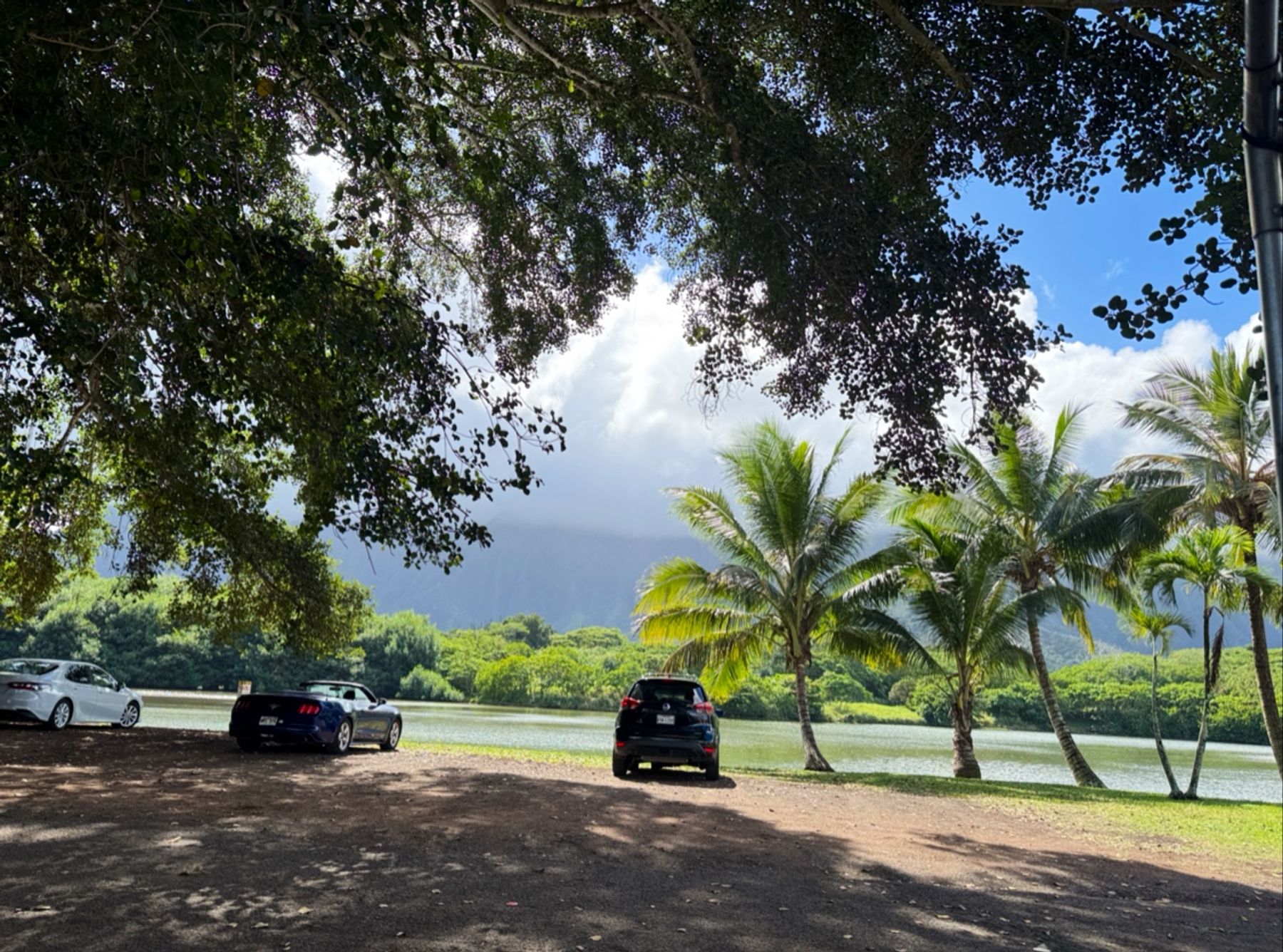 Photo 8 of Nome Ono Food in Kāneʻohe, Oahu