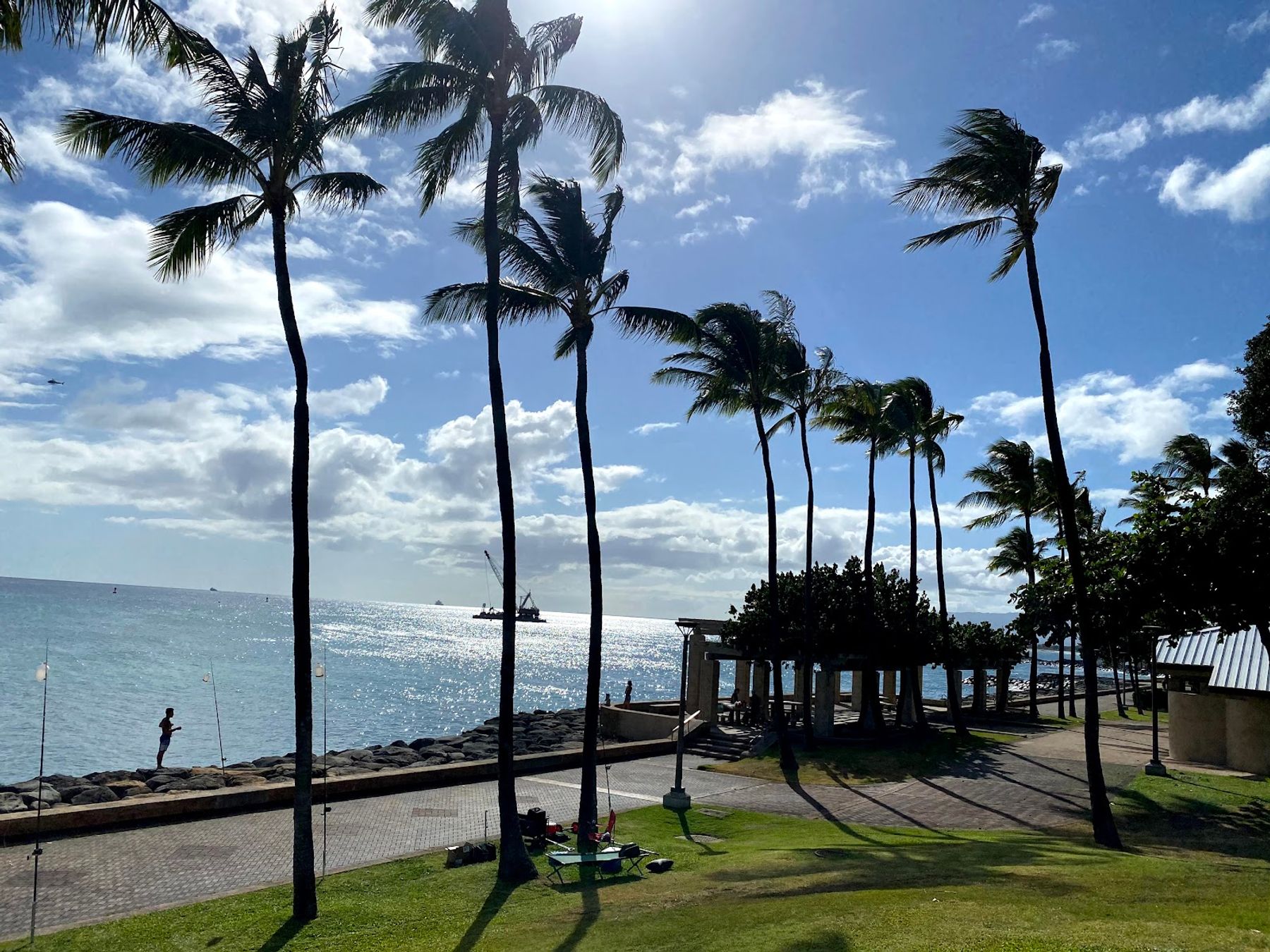 Photo 6 of Kakaʻako Waterfront Park in Downtown, Chinatown & Kakaʻako, Oahu