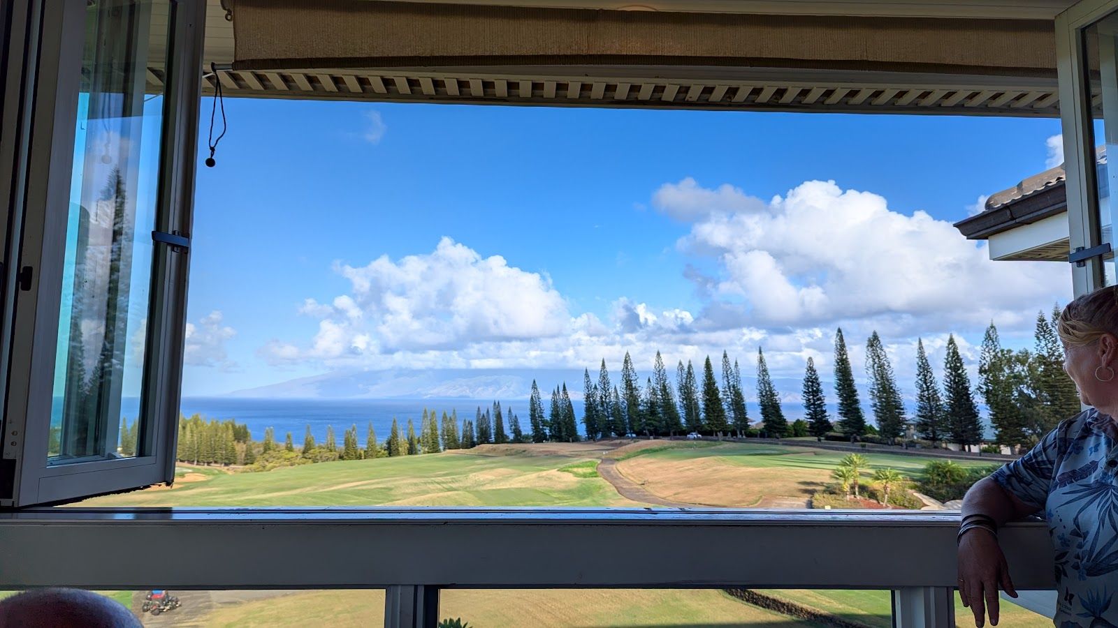 Photo 8 of The Plantation House in Kapalua, Maui