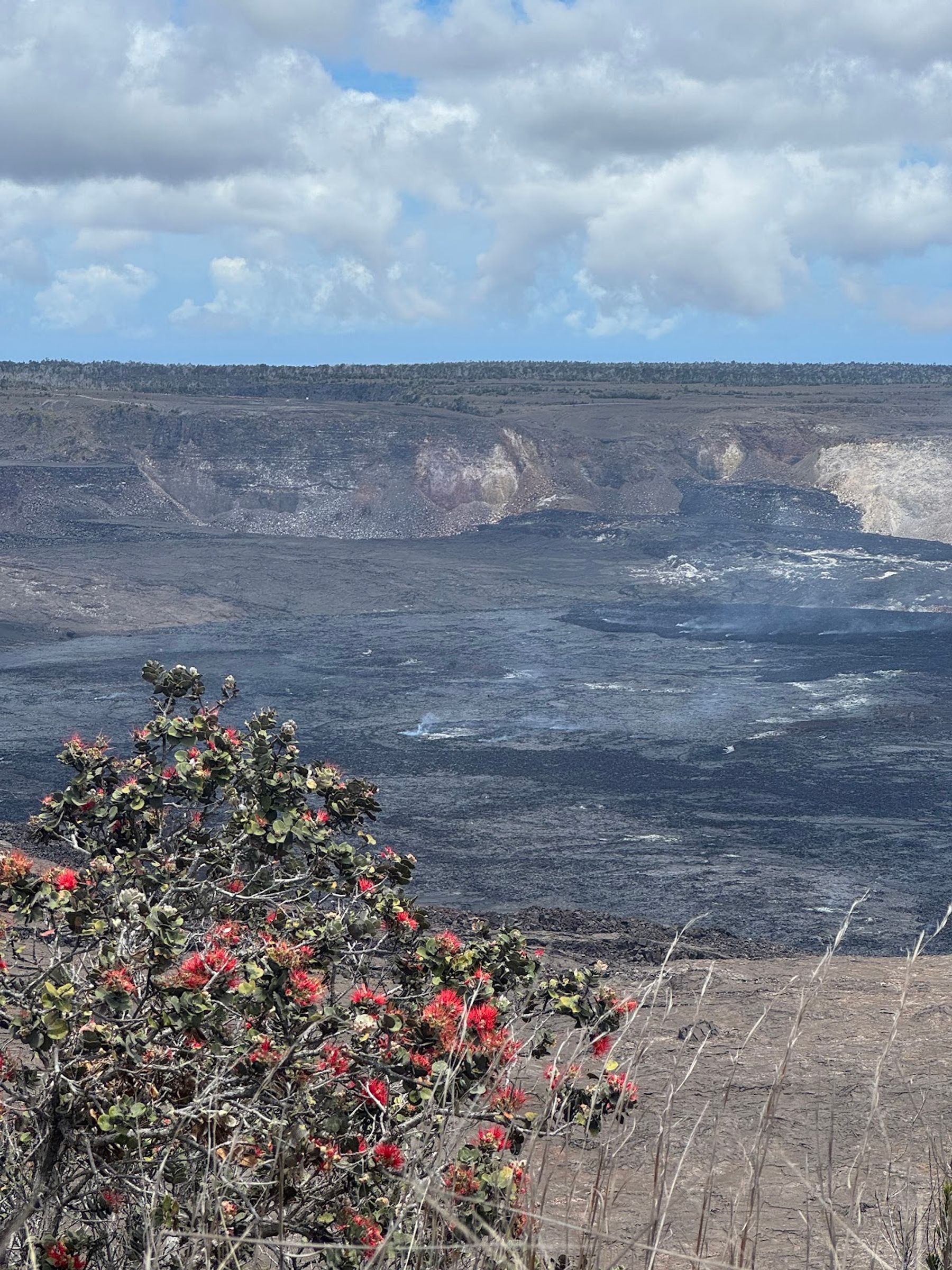 Photo 6 of Kailani Tours Hawaii in Kailua-Kona, Big Island