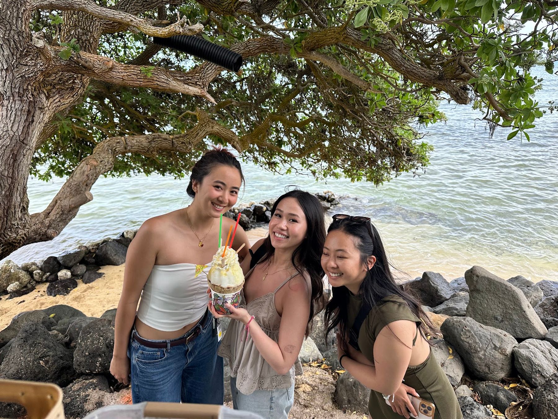 Photo 5 of Coconut Girl & Guys in Kualoa & North Windward, Oahu