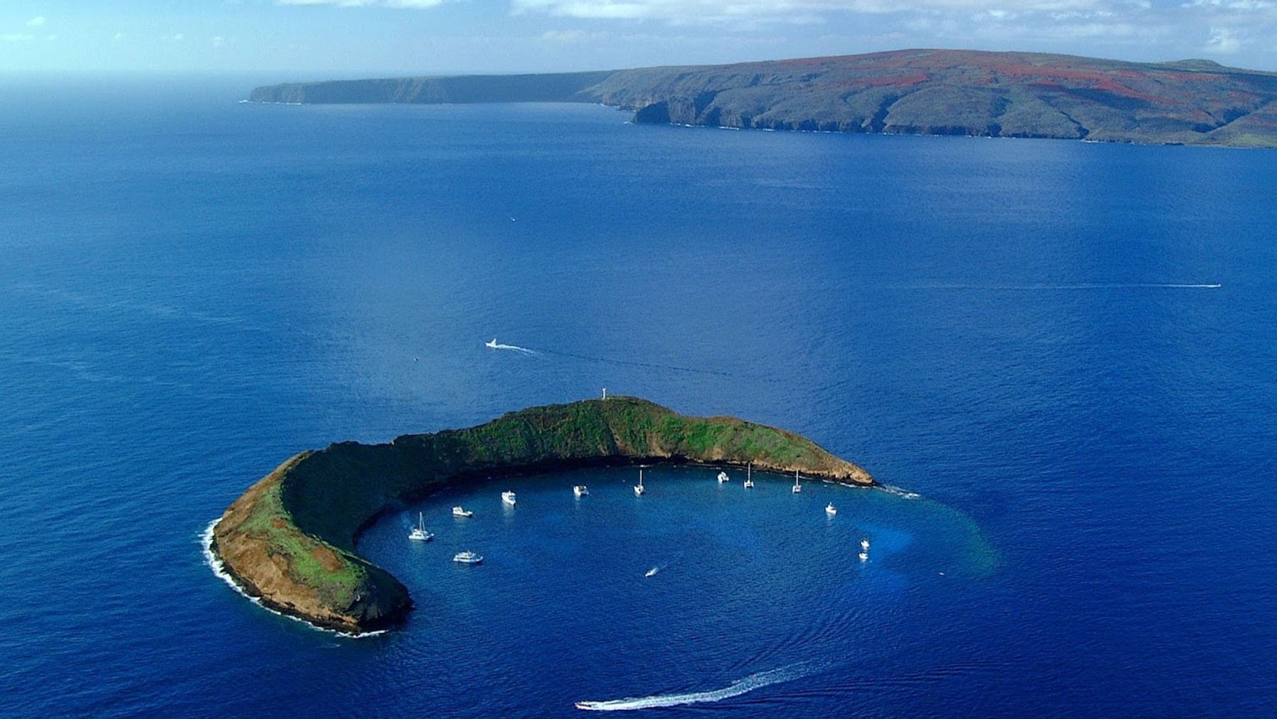 Photo 6 of Snorkel Molokini in Kapalua, Maui