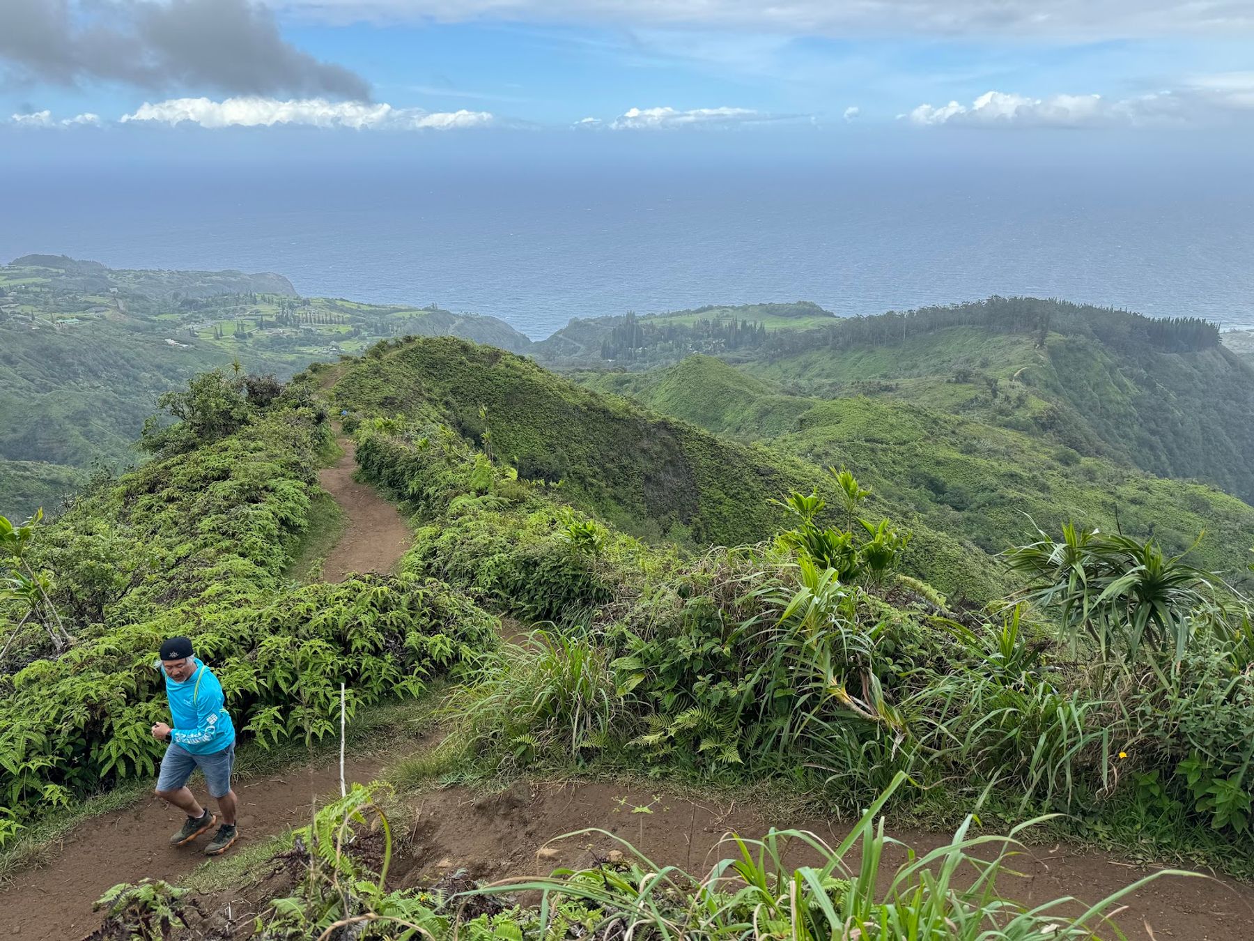 Photo 5 of Waihee Ridge Trail in Wailuku, Maui