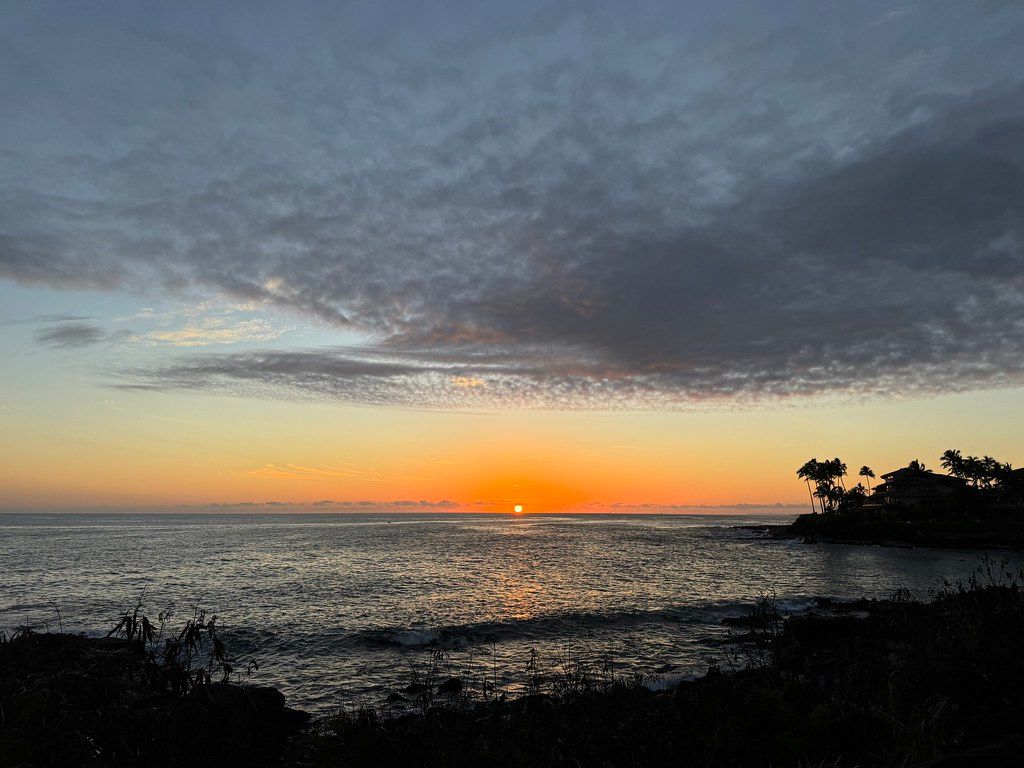 Sun setting over the ocean with orange horizon glow, rippled water, layered clouds, and palm trees silhouetted on a rocky point to the right