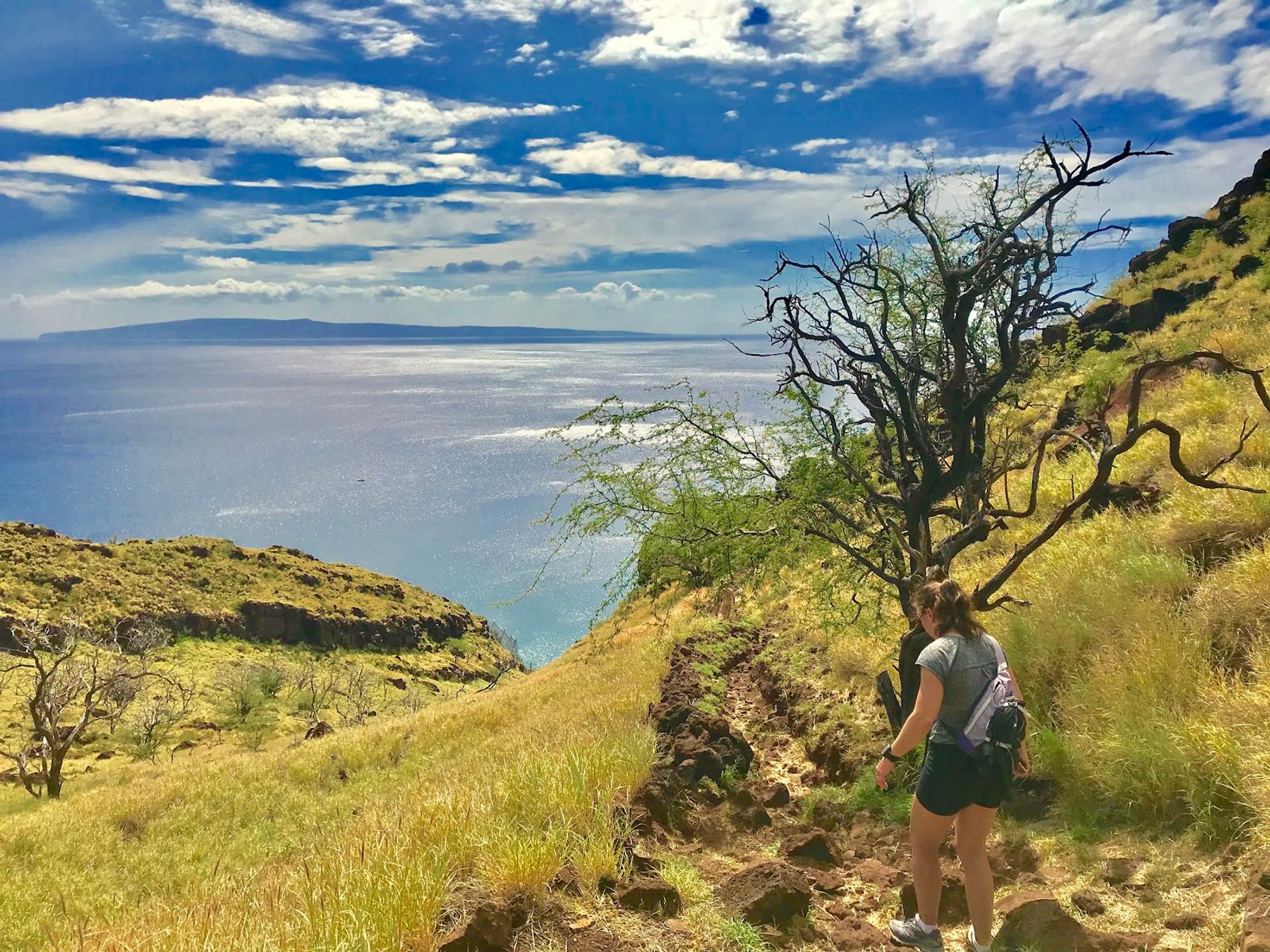 Photo 3 of Lahaina Pali Trail in Māʻalaea, Maui