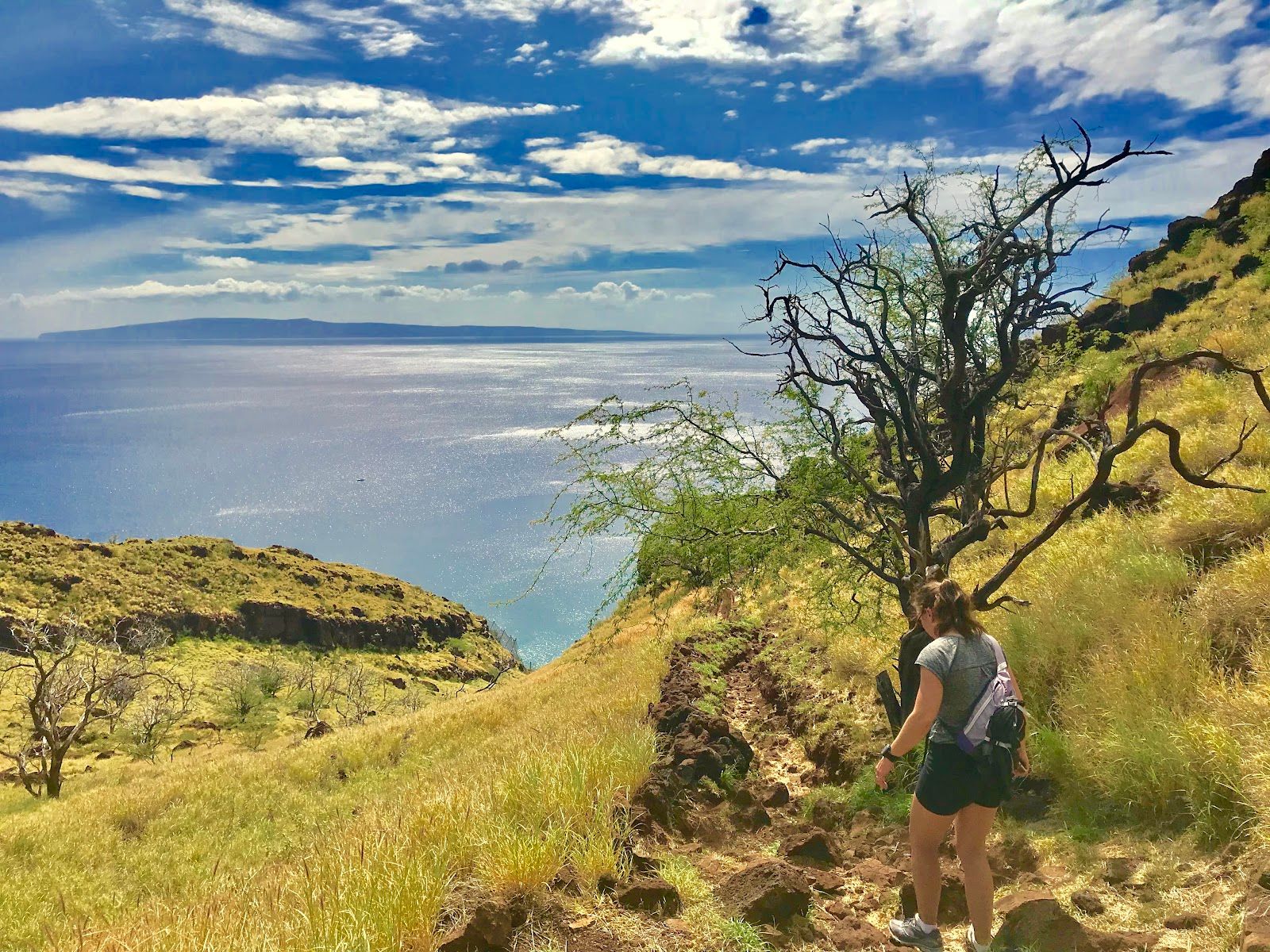 Photo 3 of Lahaina Pali Trail in Māʻalaea, Maui