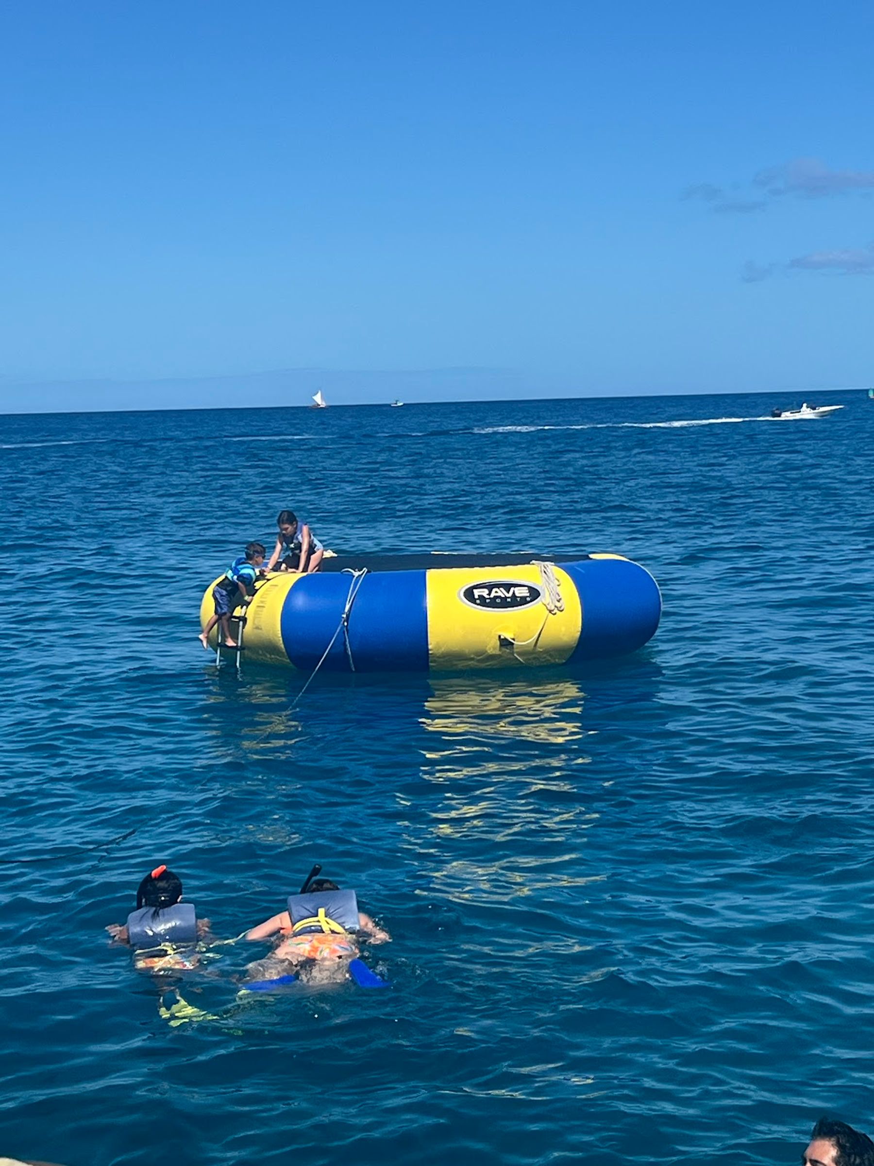 Photo 7 of E Sea Diver in Ala Moana & Mōʻiliʻili, Oahu