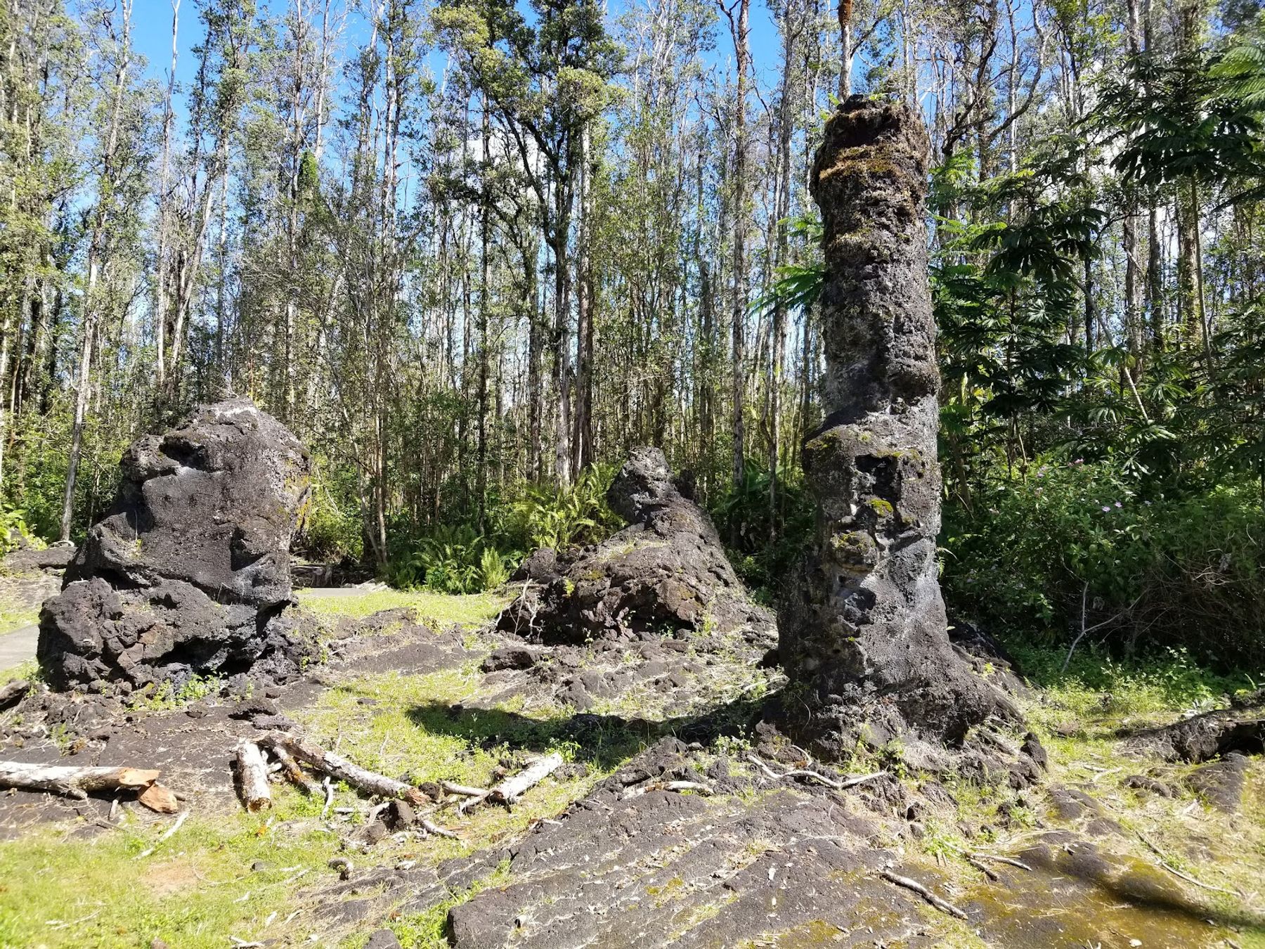 Photo 2 of Lava Tree State Monument in Pāhoa, Big Island