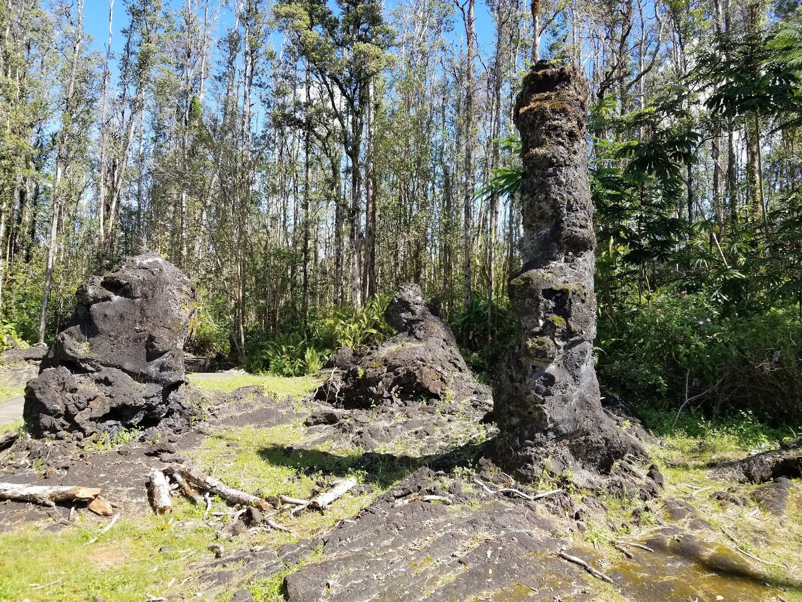 Photo 2 of Lava Tree State Monument in Pāhoa, Big Island