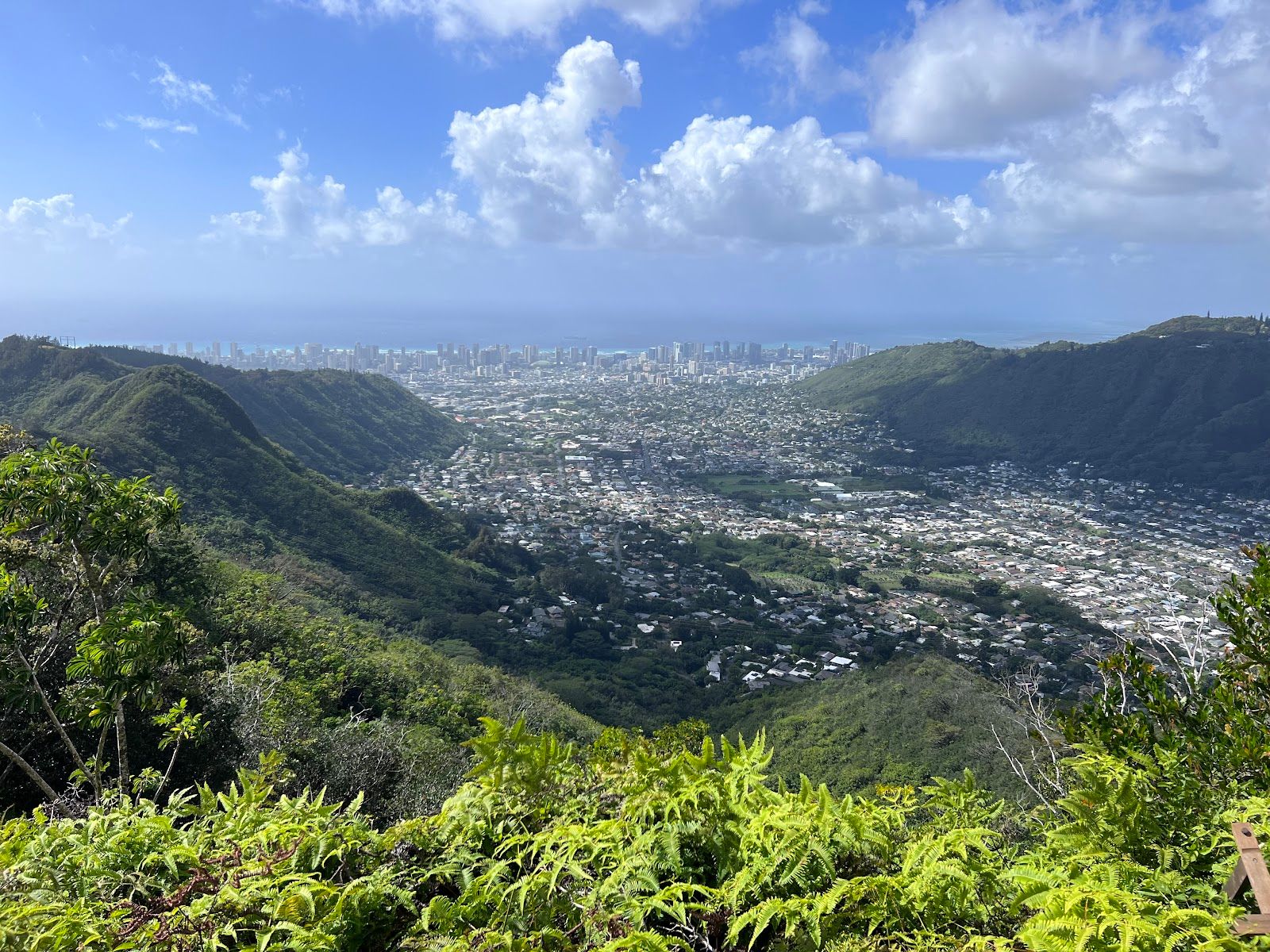 Photo 1 of Waʻahila Ridge State Recreation Area in Mānoa, Makiki & Nuʻuanu, Oahu