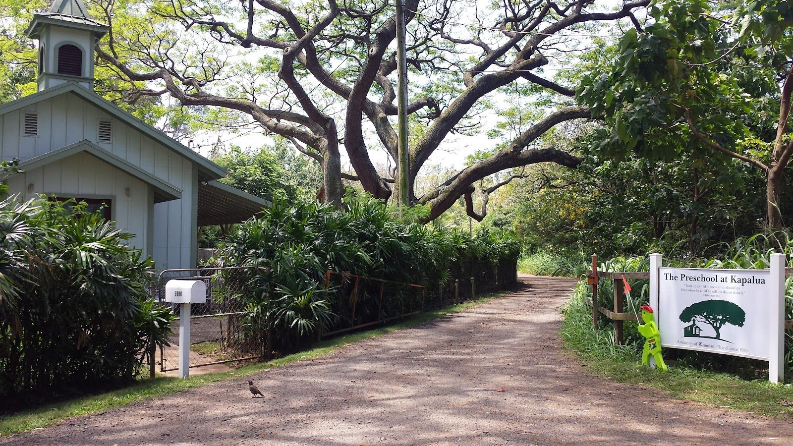 Photo 5 of D.T. Fleming Beach Park in Kapalua, Maui