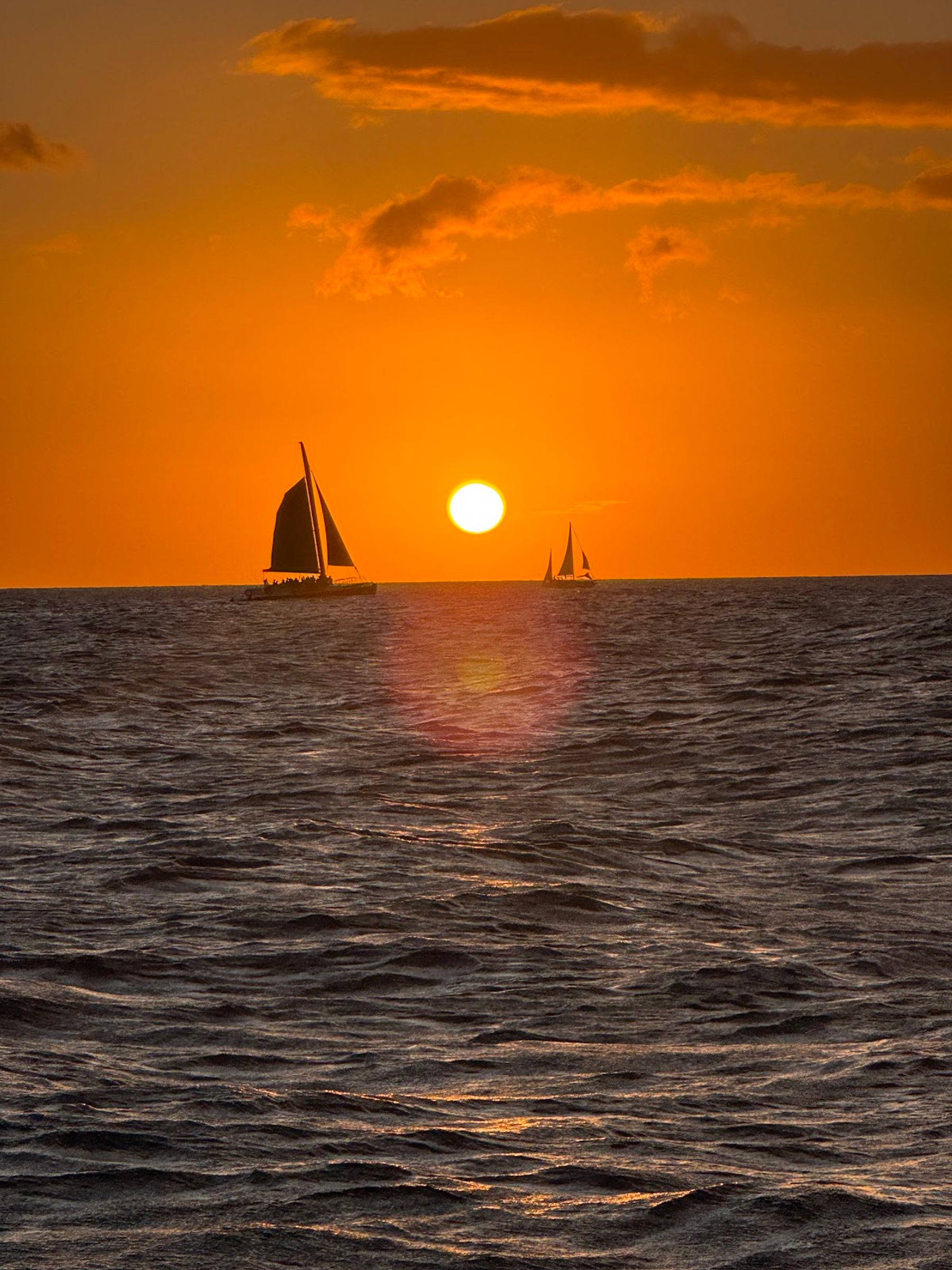 Photo 6 of Hawaii Glass Bottom Boats in Ala Moana & Mōʻiliʻili, Oahu