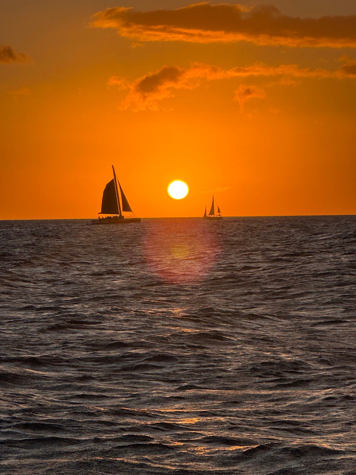Photo 6 of Hawaii Glass Bottom Boats in Ala Moana & Mōʻiliʻili, Oahu