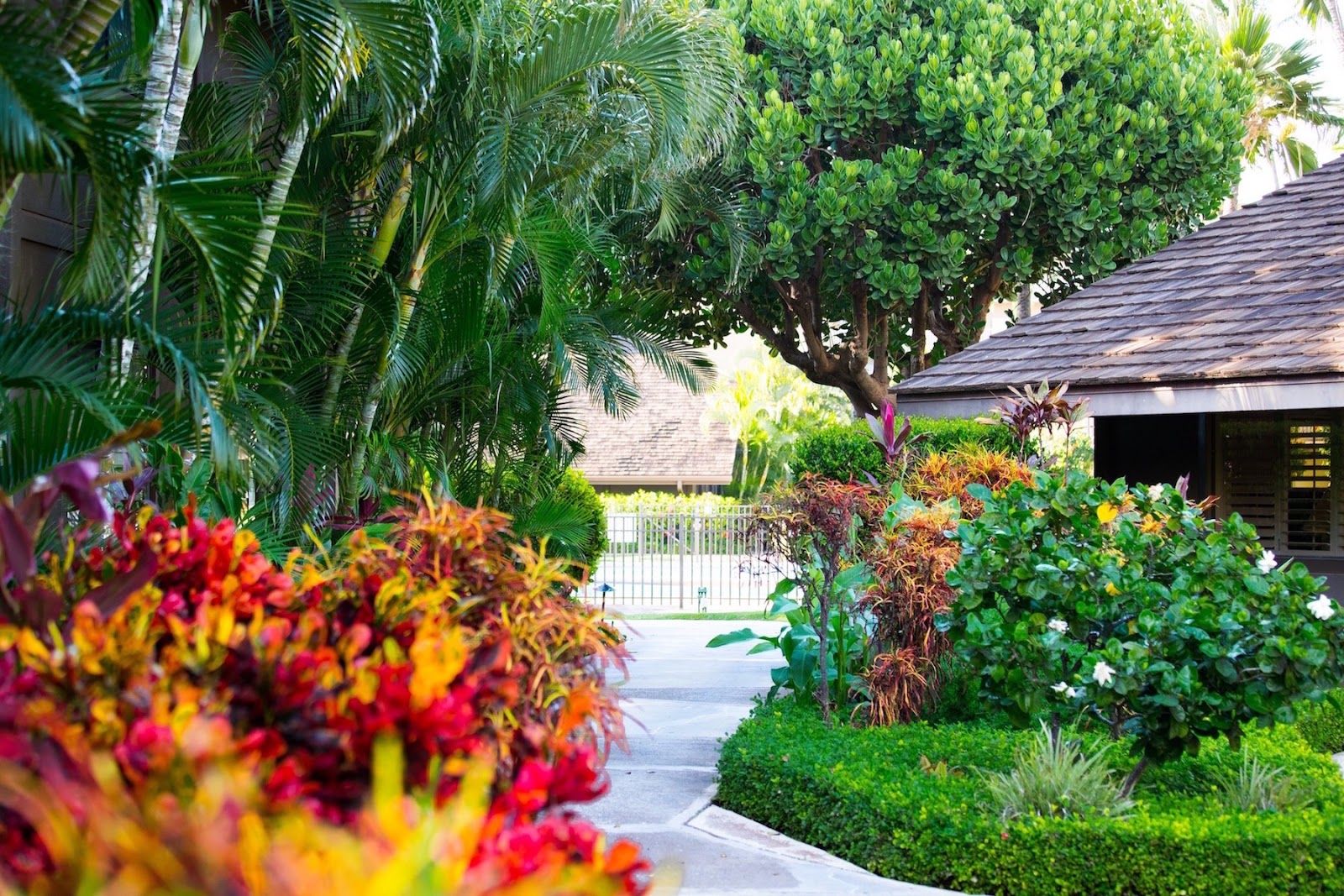 Photo 7 of Maalaea Surf Resort in Kīhei, Maui
