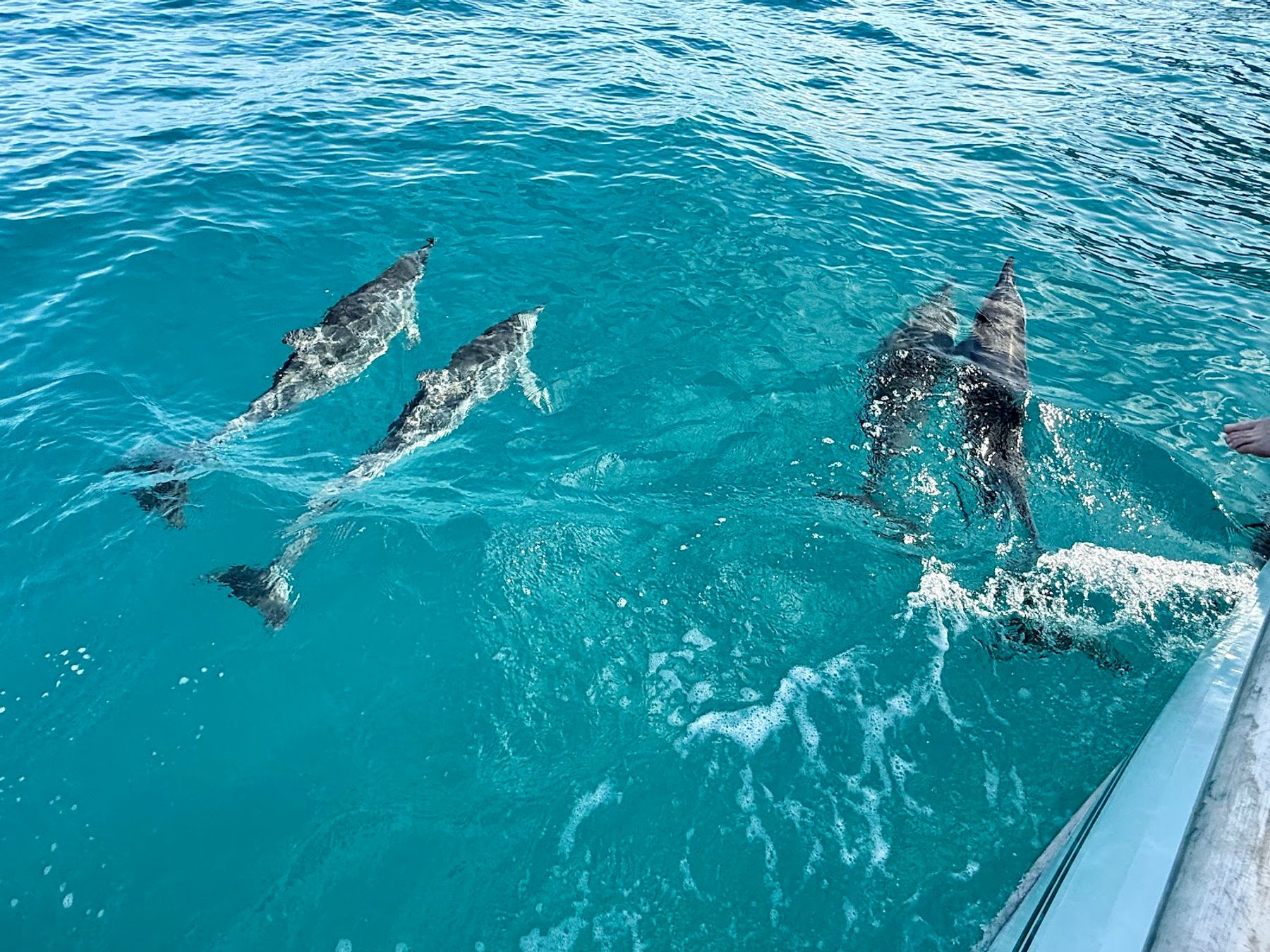 Na Pali Experience in Kekaha, Kaua‘i photo 5