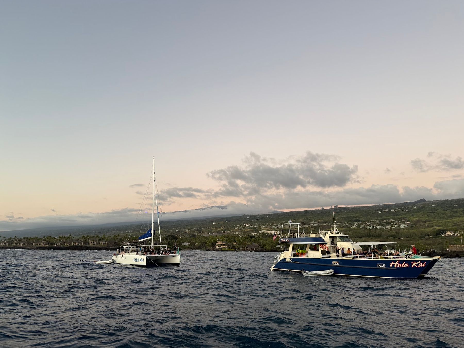 Photo 3 of The Manta & Snorkel Co - Kona in Kailua-Kona, Big Island