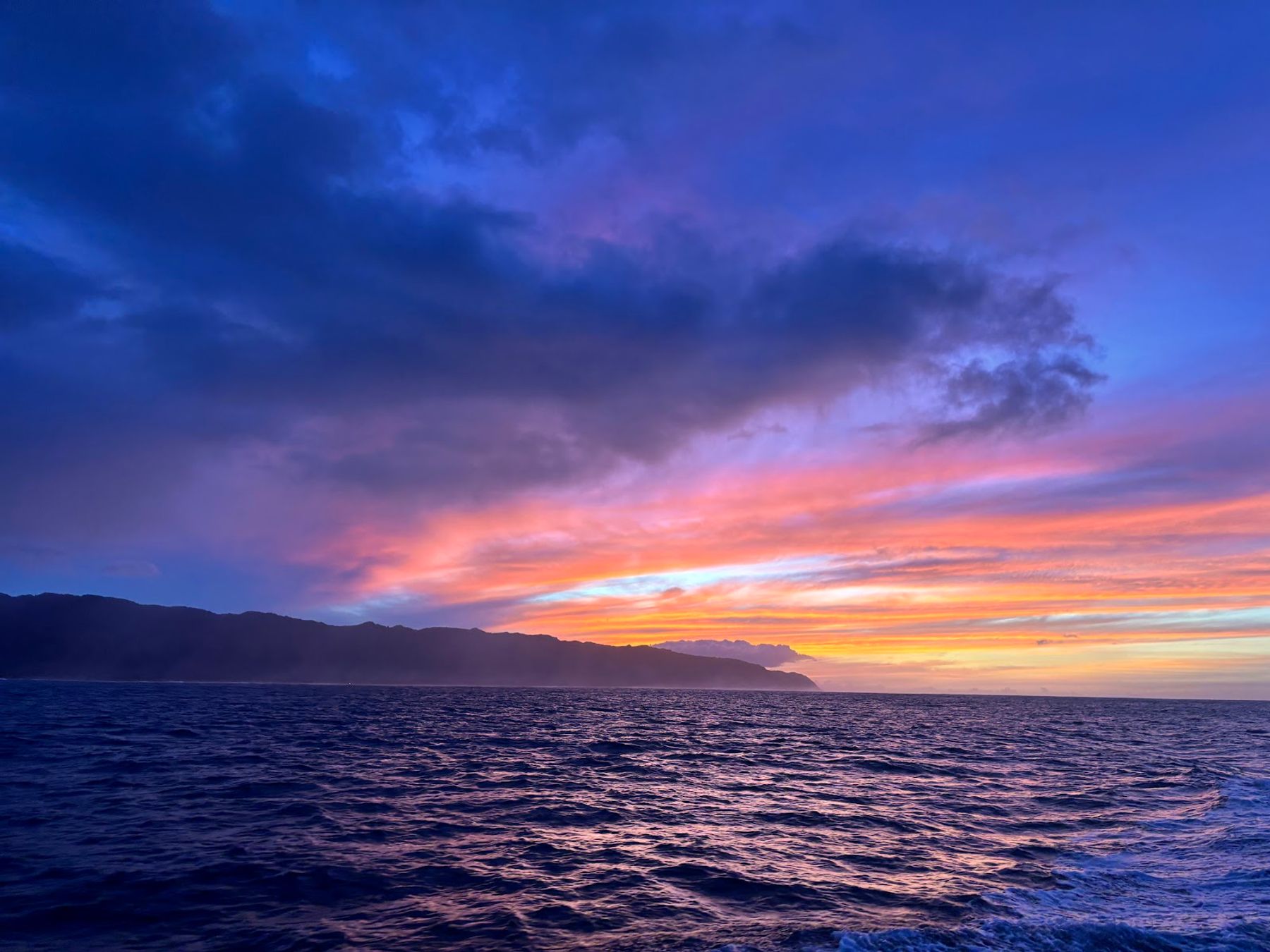 Photo 10 of Haleiwa Shark Tours in Haleʻiwa, Oahu