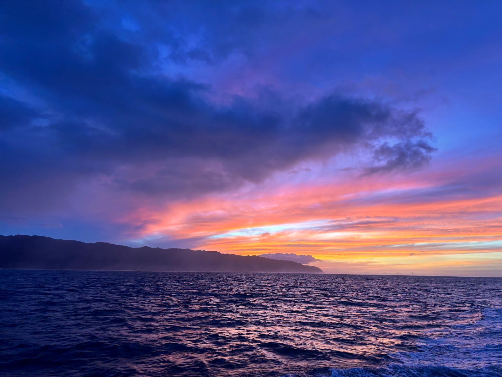 Photo 10 of Haleiwa Shark Tours in Haleʻiwa, Oahu