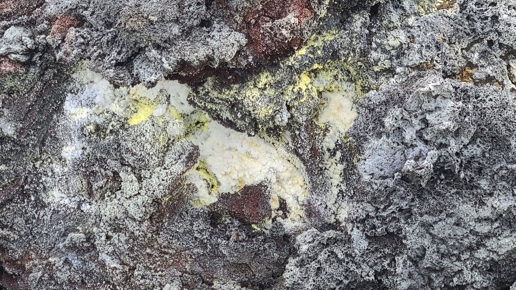 Photo 10 of Fissure 8 Tours in Pāhoa, Big Island