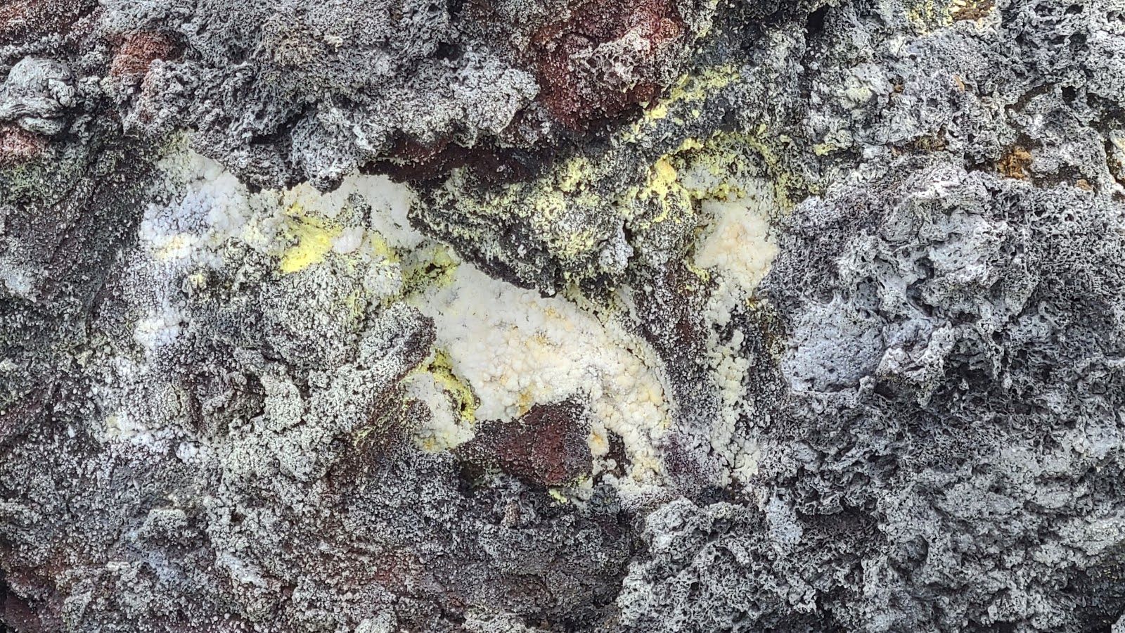 Photo 10 of Fissure 8 Tours in Pāhoa, Big Island