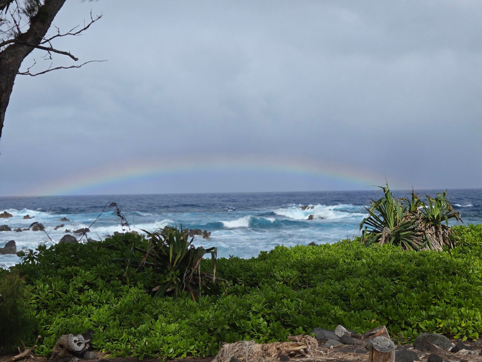 Photo 6 of Laupāhoehoe Lookout in Laupāhoehoe, Big Island