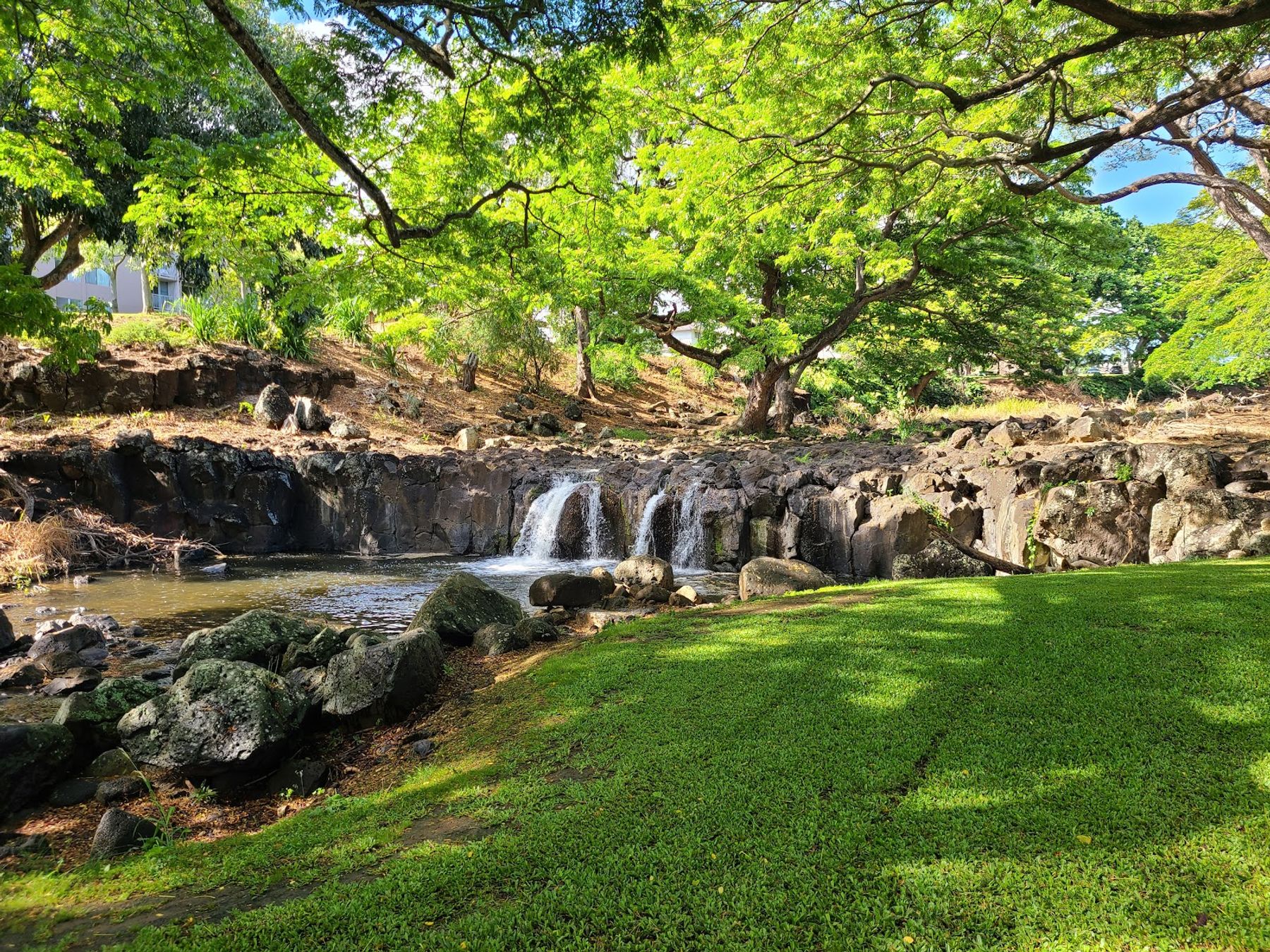 Photo 7 of Liliʻuokalani Botanical Garden in Mānoa, Makiki & Nuʻuanu, Oahu