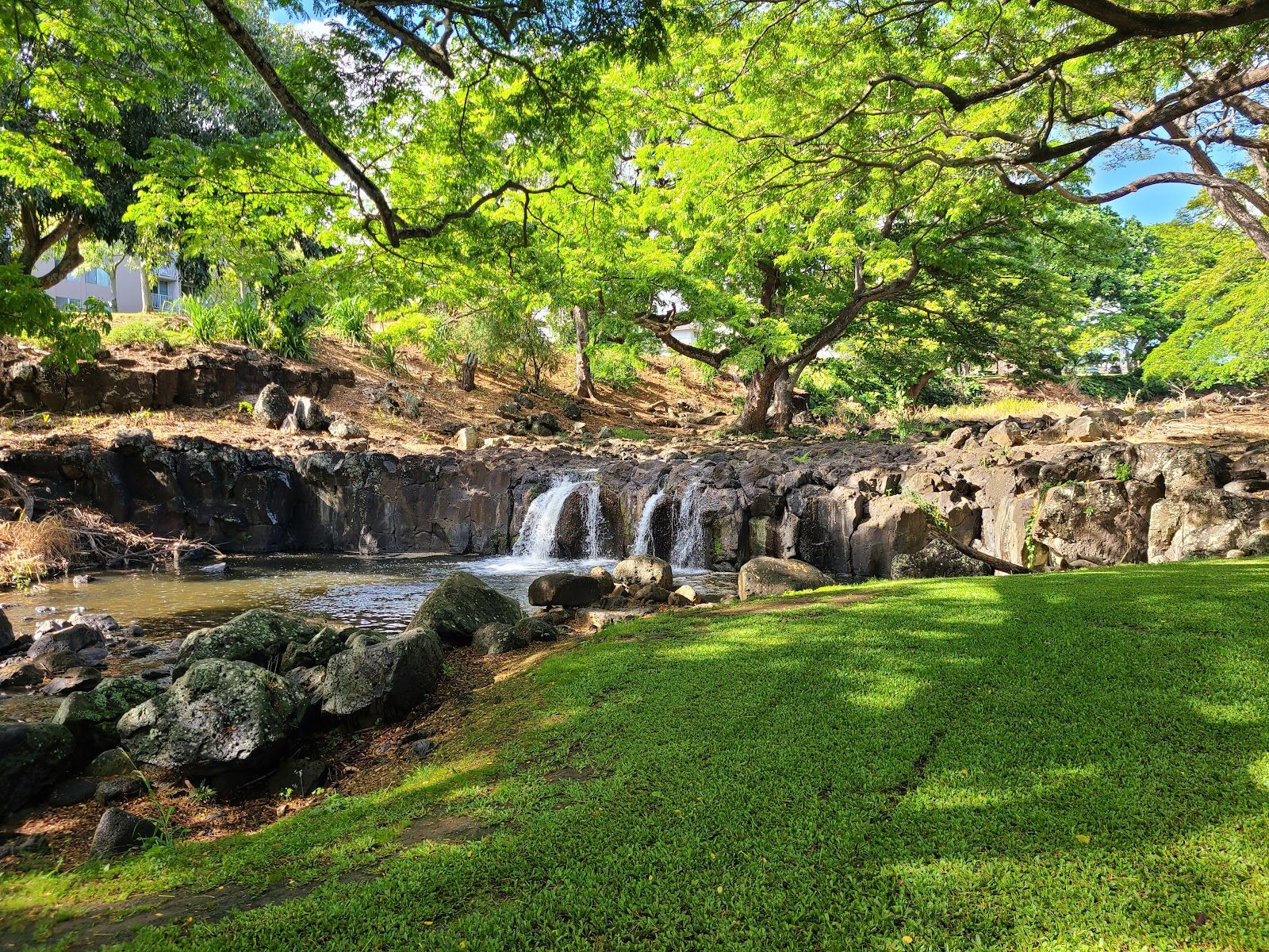 Photo 7 of Liliʻuokalani Botanical Garden in Mānoa, Makiki & Nuʻuanu, Oahu