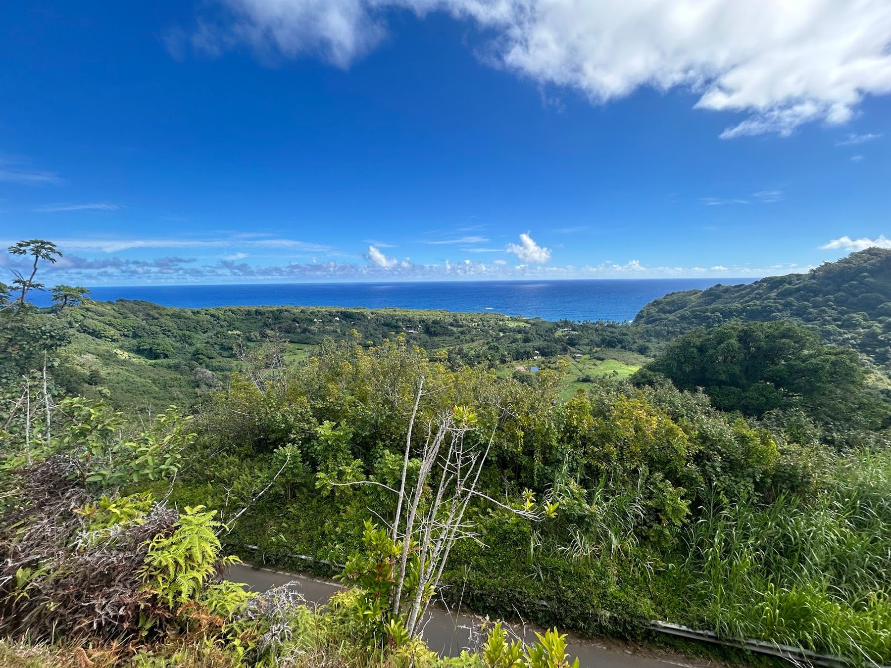 Photo 6 of Wailua Valley Lookout in Keʻanae-Nāhiku, Maui