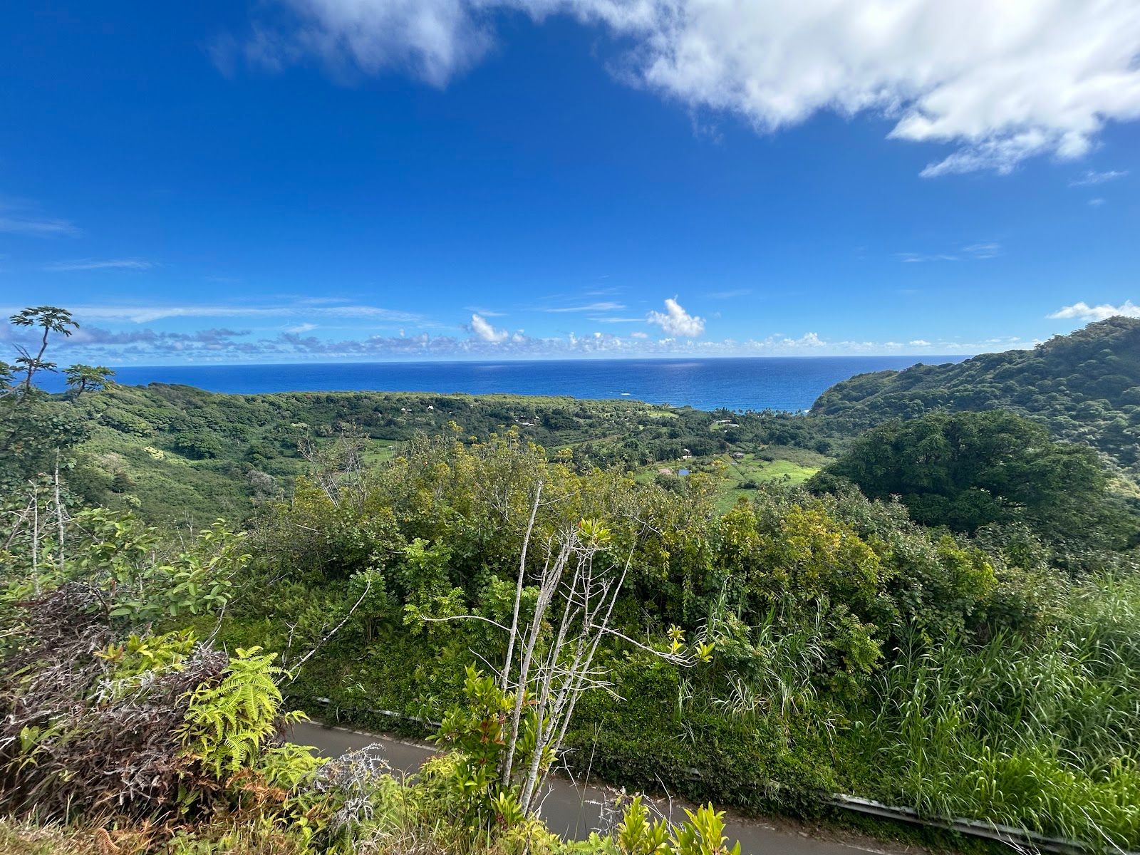 Photo 6 of Wailua Valley Lookout in Keʻanae-Nāhiku, Maui