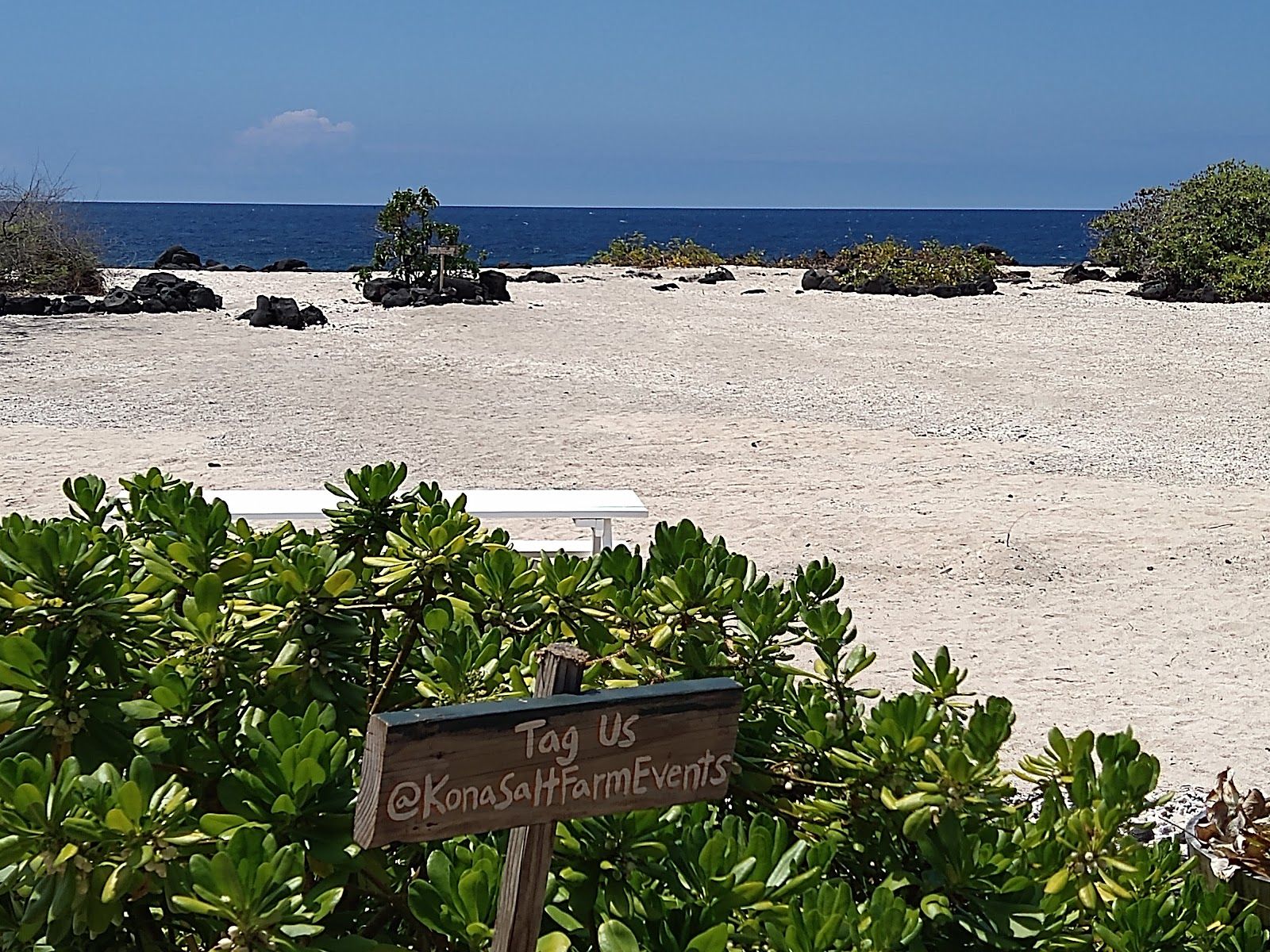 Photo 4 of Kona Sea Salt in Kailua-Kona, Big Island