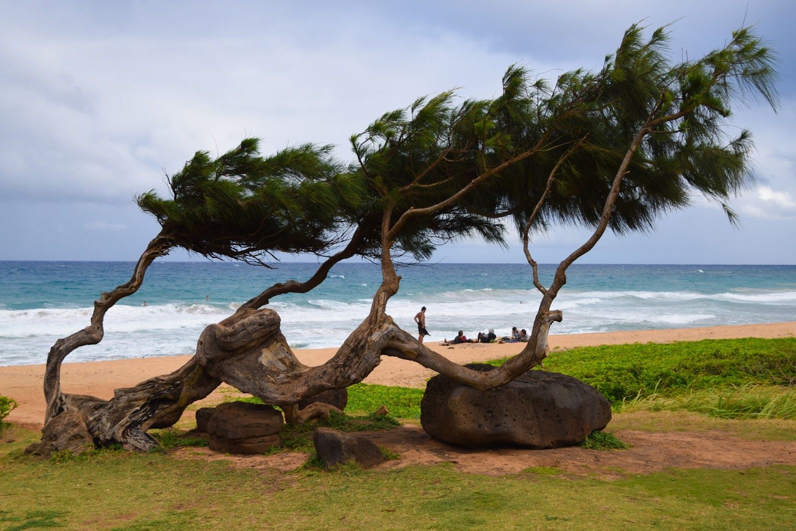 Keālia Beach in Kapaʻa, Kaua‘i photo 3
