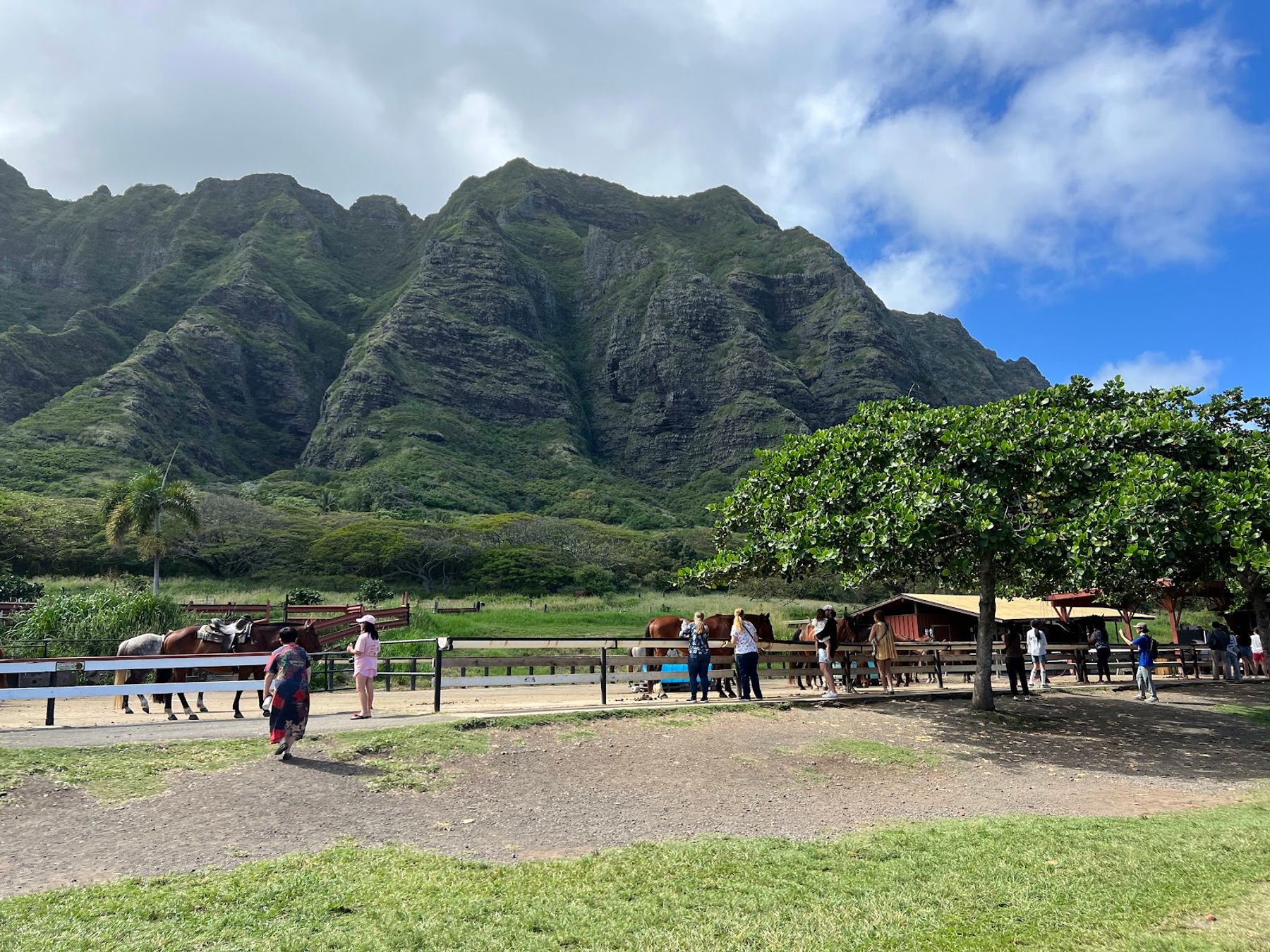 Photo 2 of Kualoa Ranch in Kualoa & North Windward, Oahu