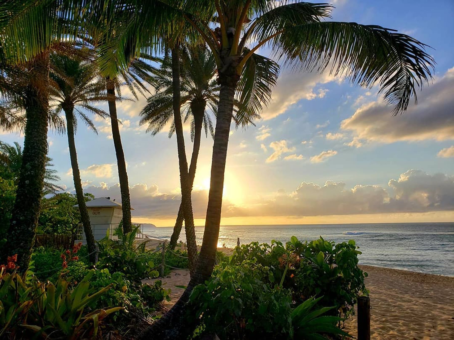 Photo 7 of Sunset Beach Park in Pūpūkea, Oahu