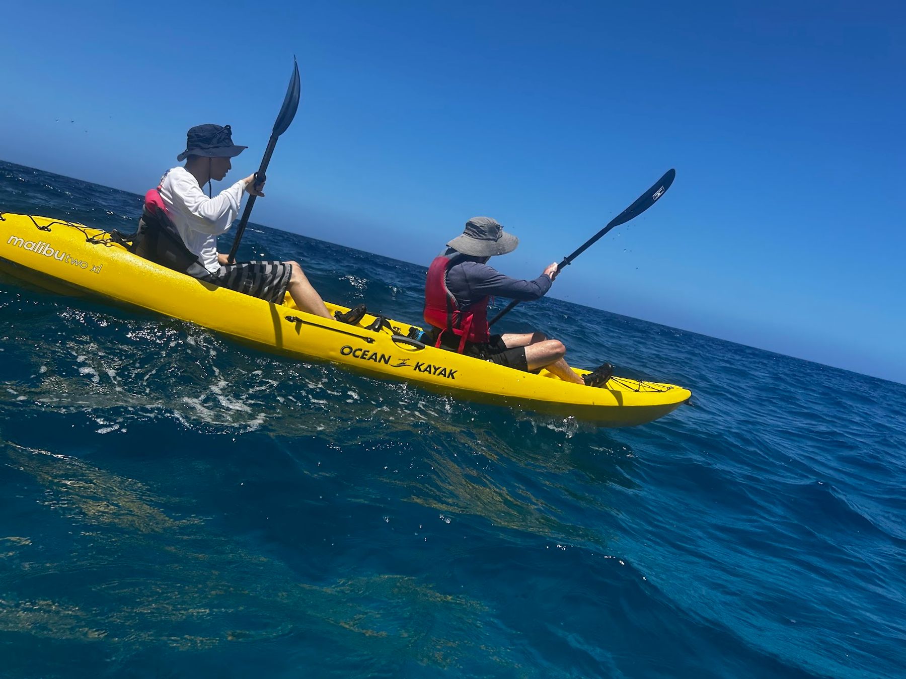 Photo 5 of Ocean Safaris Kayak Adventures in Kailua-Kona, Big Island