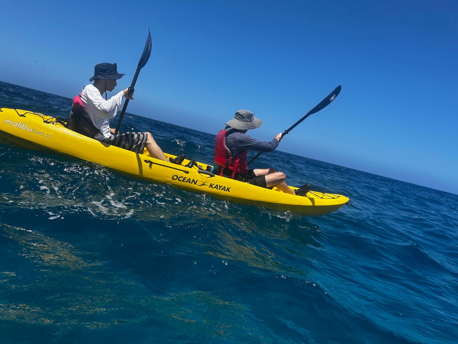 Photo 5 of Ocean Safaris Kayak Adventures in Kailua-Kona, Big Island