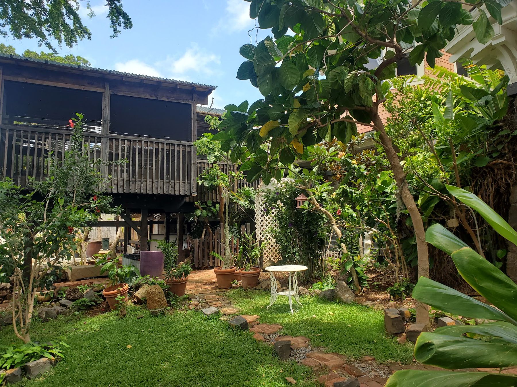 Photo 7 of Manoa Inn in Mānoa, Makiki & Nuʻuanu, Oahu
