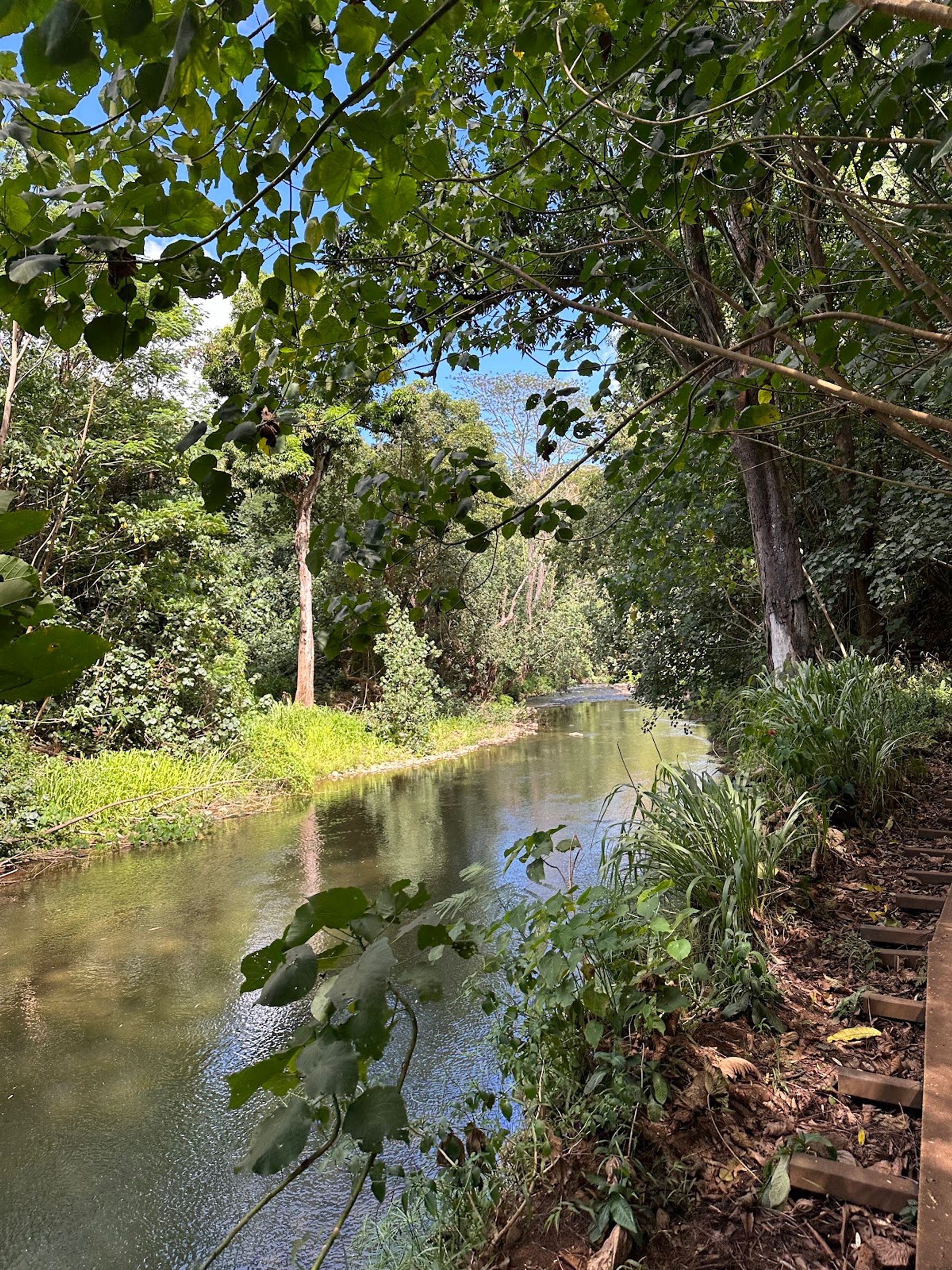 Photo 9 of Ali'i Kayaks in Kapaʻa, Kauai