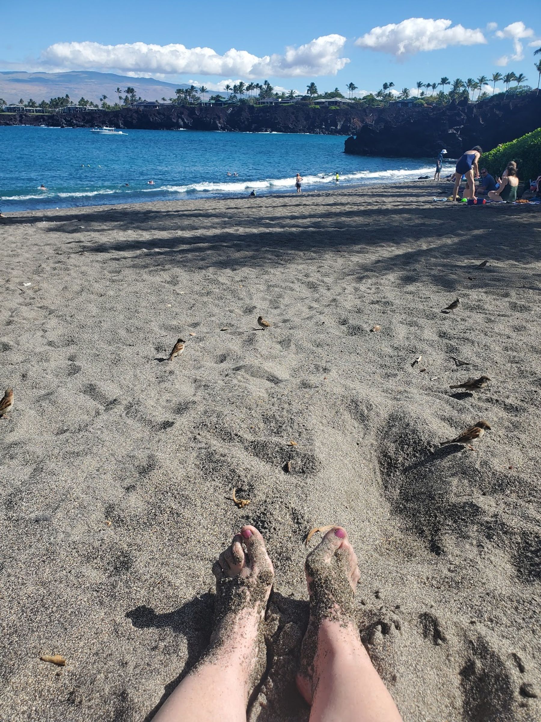 Photo 9 of 49 Black Sand Beach in Waikoloa, Big Island