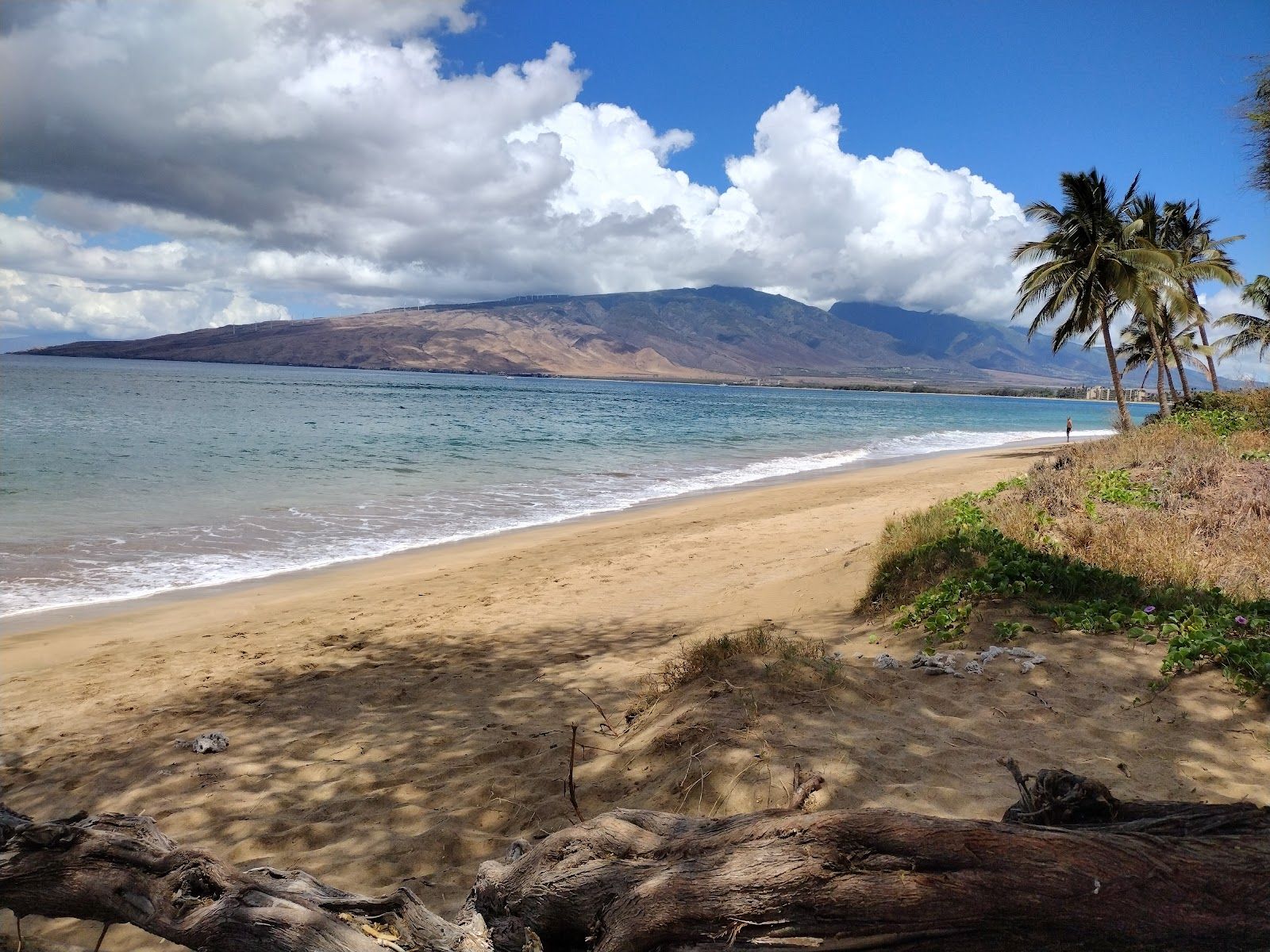 Photo 7 of Mai Poina Beach Park in Kīhei, Maui