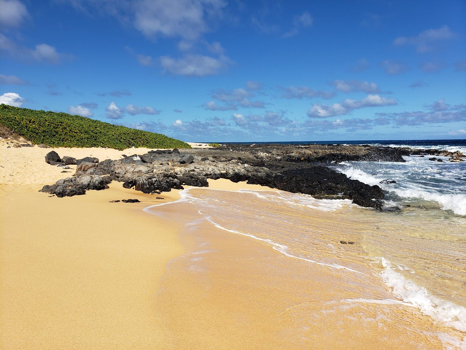 Photo 5 of Wawamalu Beach in Hawaiʻi Kai & East Honolulu, Oahu