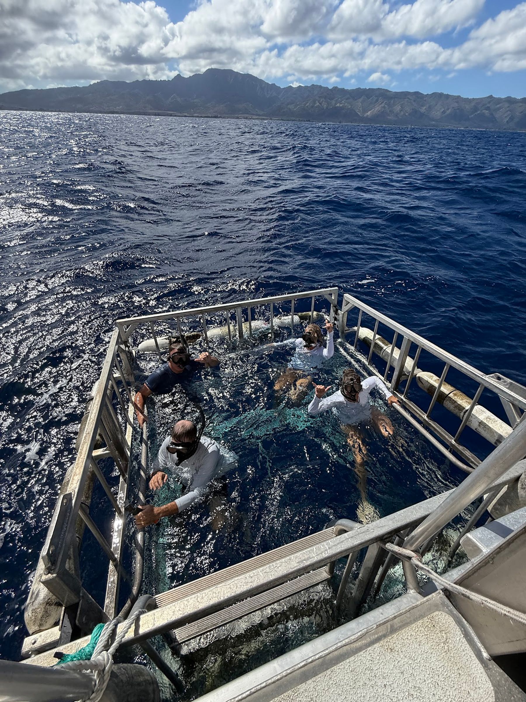 Photo 2 of Haleiwa Shark Tours in Haleʻiwa, Oahu