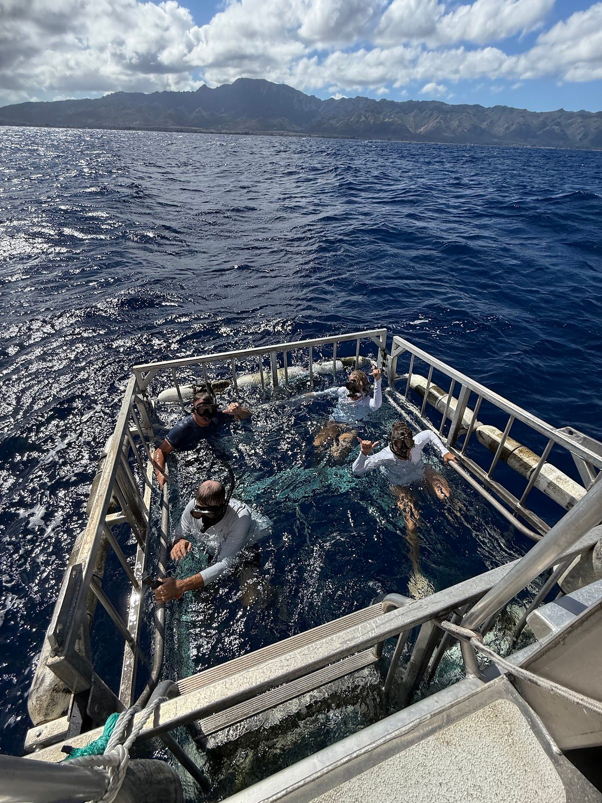Photo 2 of Haleiwa Shark Tours in Haleʻiwa, Oahu