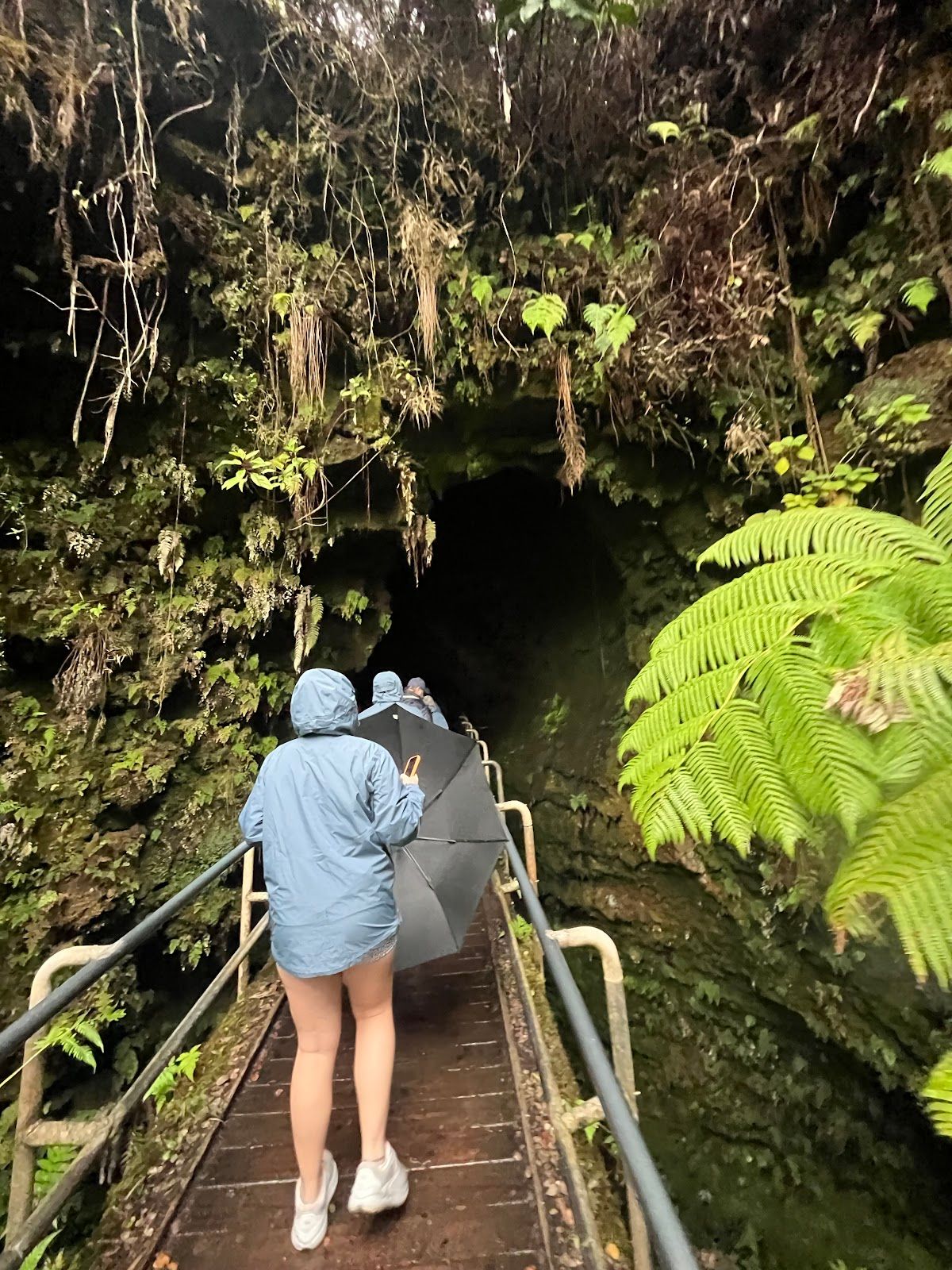 Photo 2 of Kailani Tours Hawaii in Kailua-Kona, Big Island